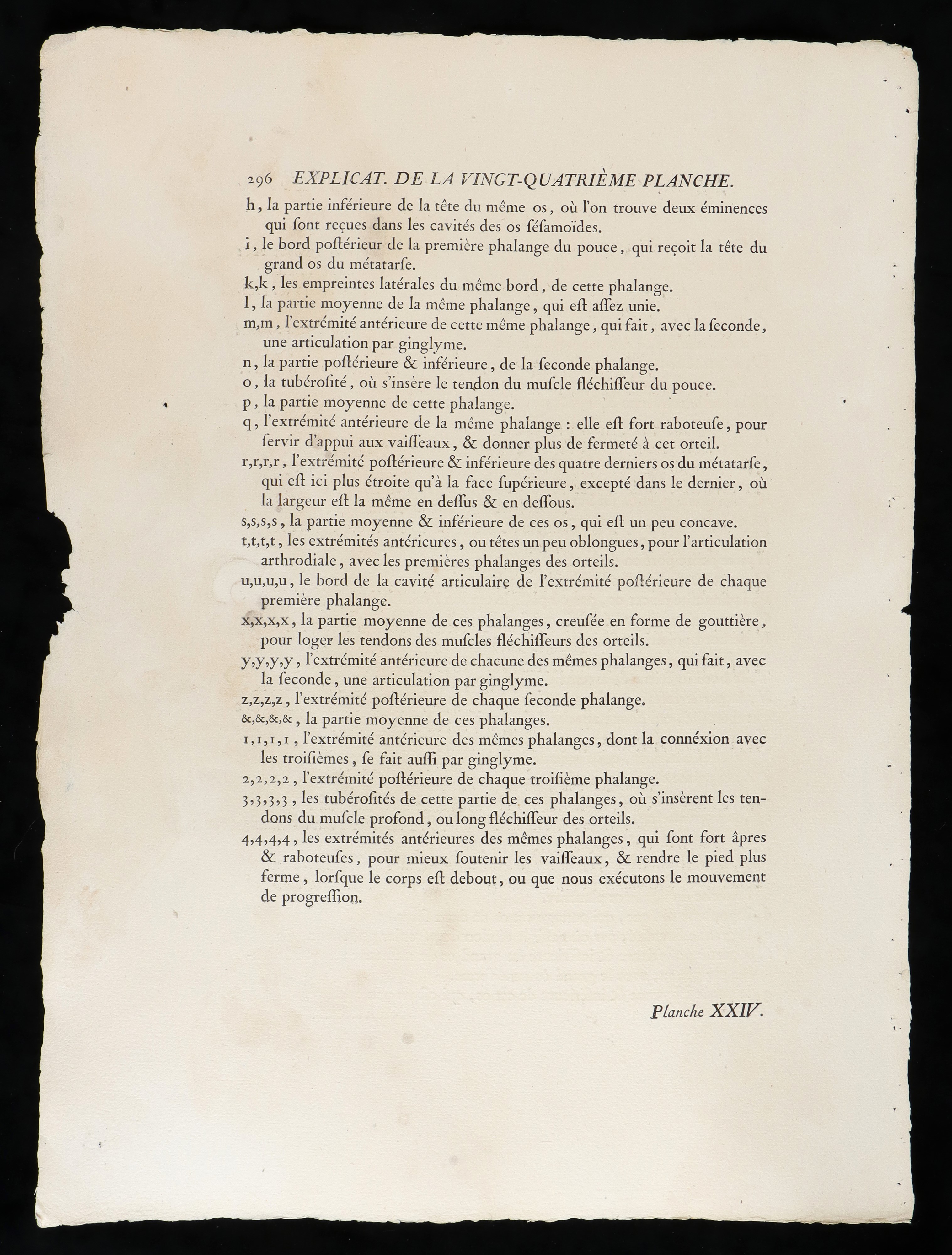 Ossa del Piede da ""traité D'ostéologie... Par M. Sue"