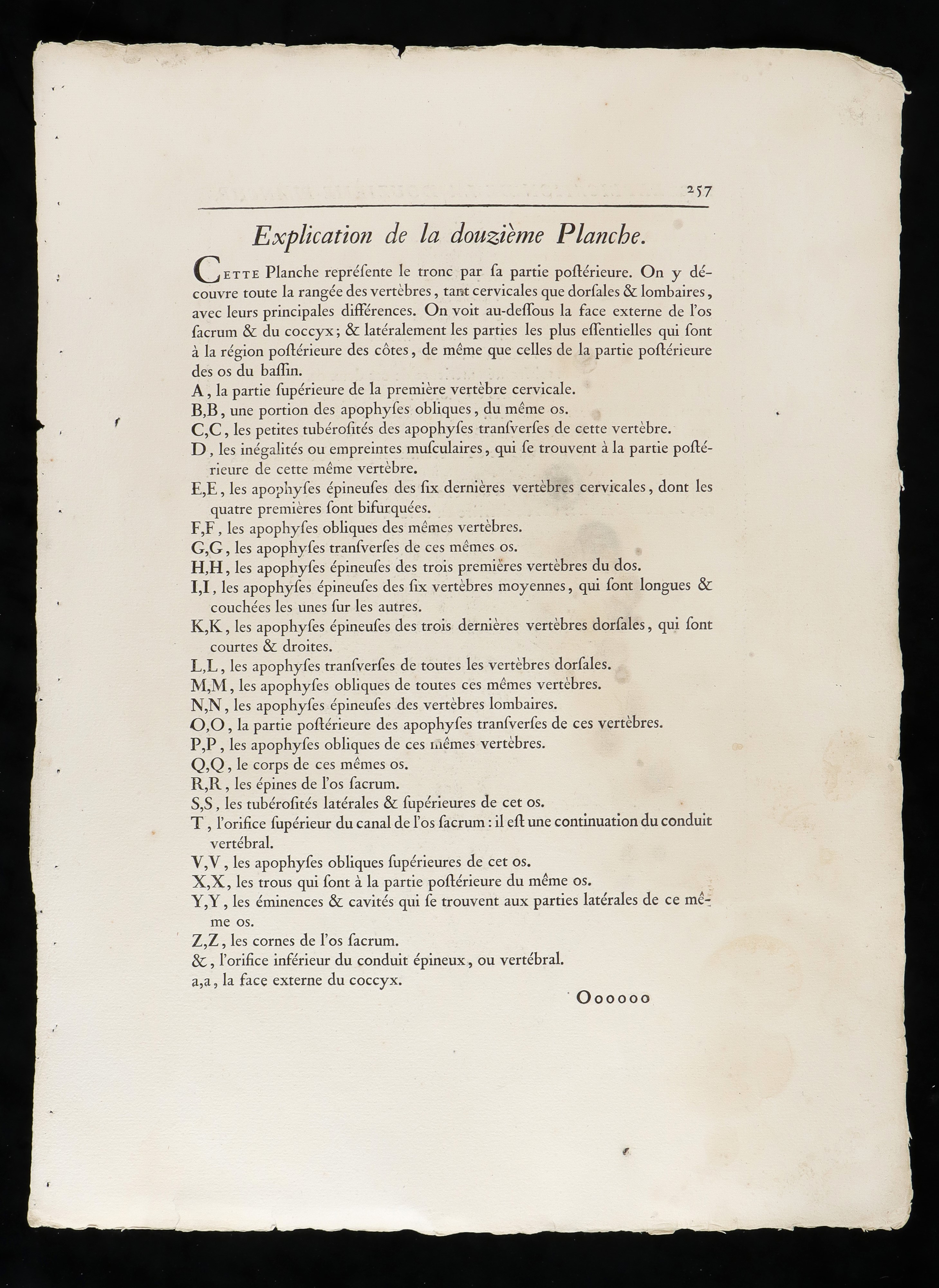 Ossa del Tronco da "traité D'ostéologie... Par M. Sue"