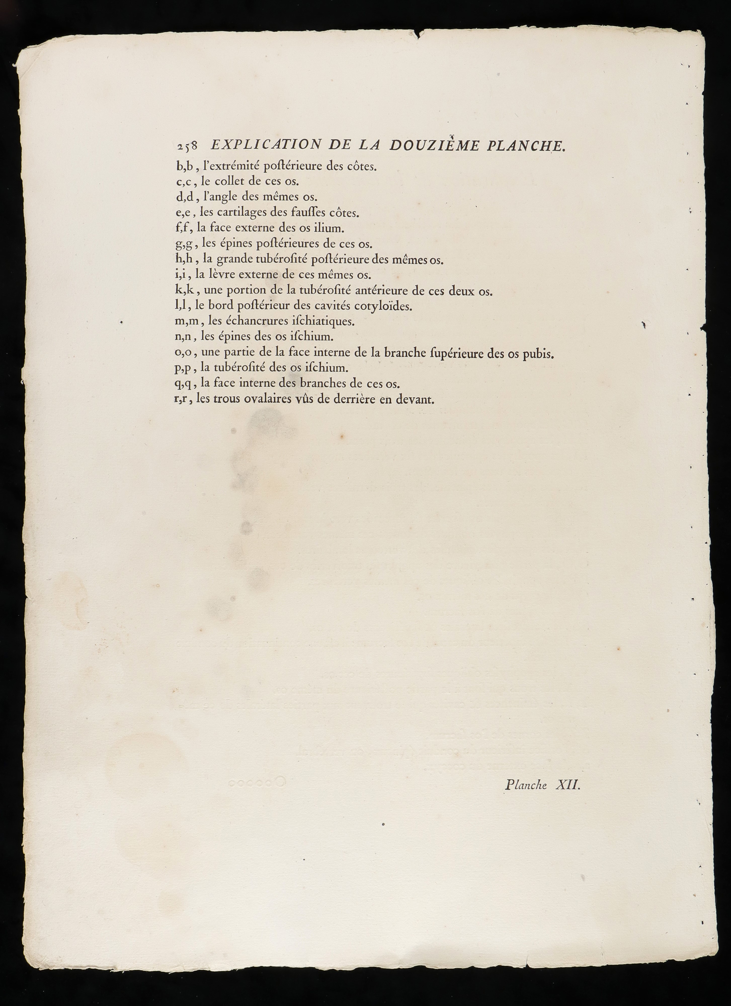 Ossa del Tronco da "traité D'ostéologie... Par M. Sue"