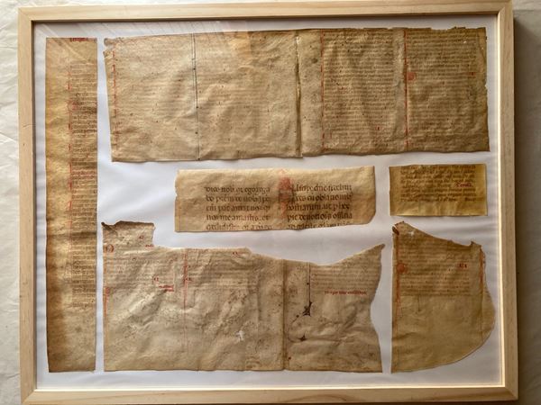 Lotto di frammenti manoscritti medievali incorniciati