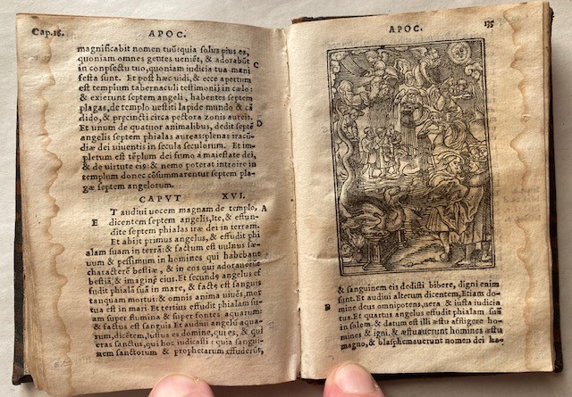 Pauli Apostoli Epistolae. Epistolae Catholicae. Apocalypsis Beati Ioannis. Paris, Pierre Regnault...
