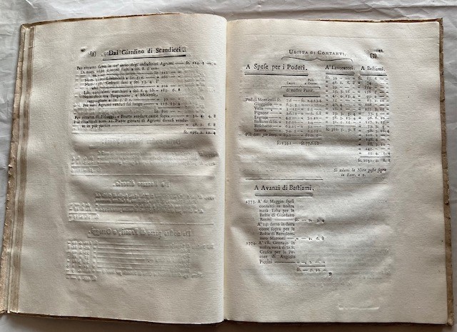 Scrittura di Possessioni per Bilancio di un Computista Fiorentino. in Firenze, nella Stamperia Gi...