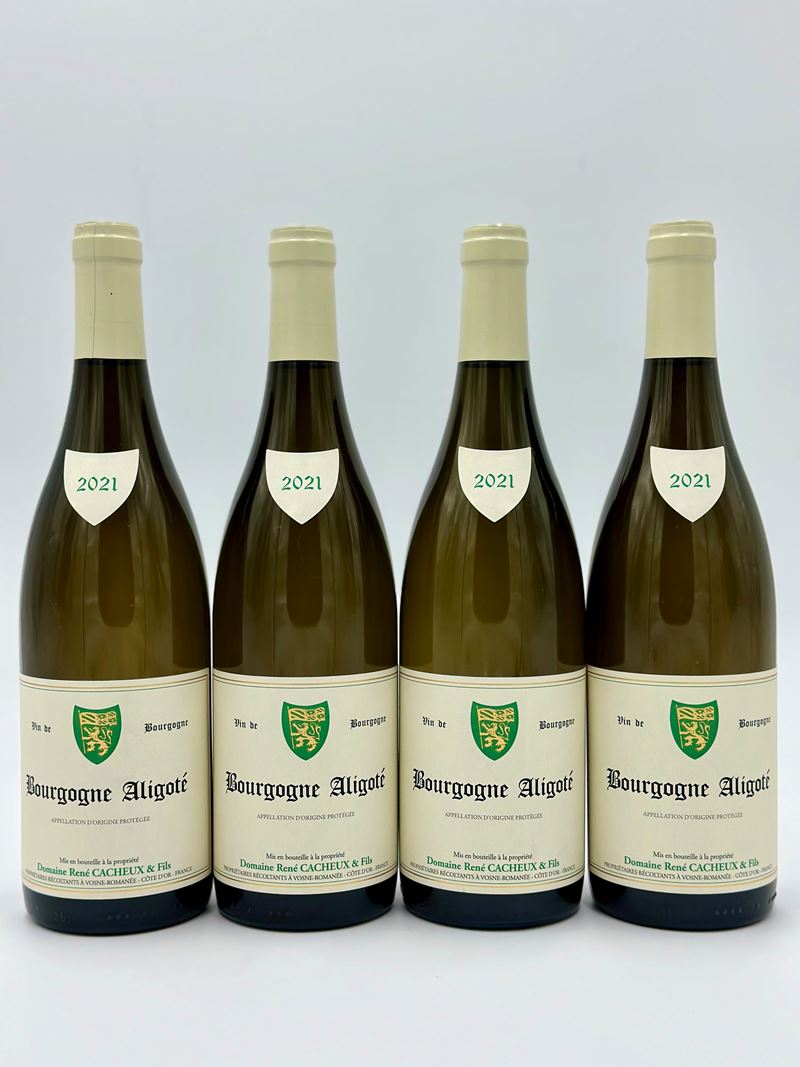 Domaine René Cacheux, Bourgogne Aligoté