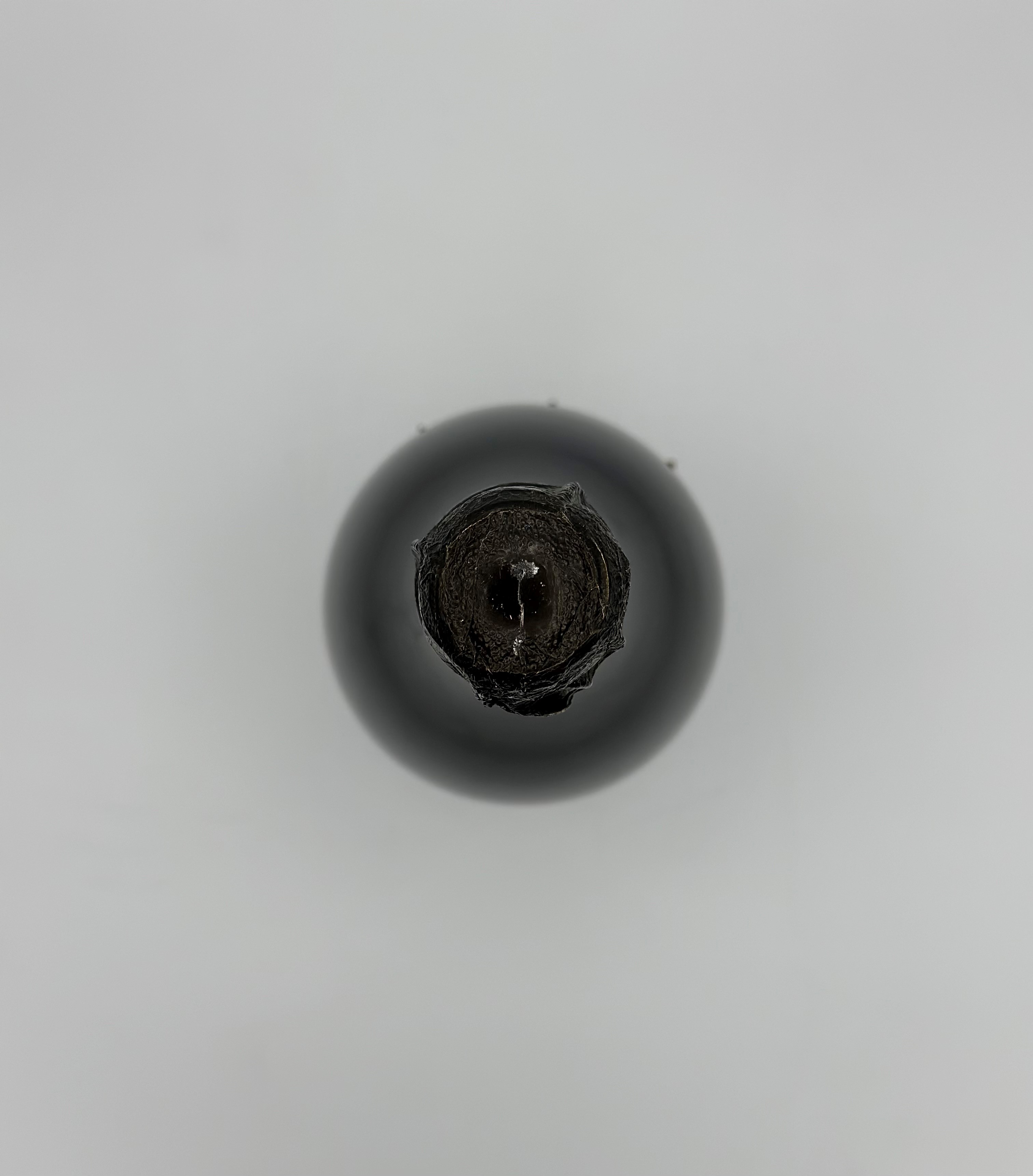 Moët & Chandon, Dom Pérignon Vintage 1999