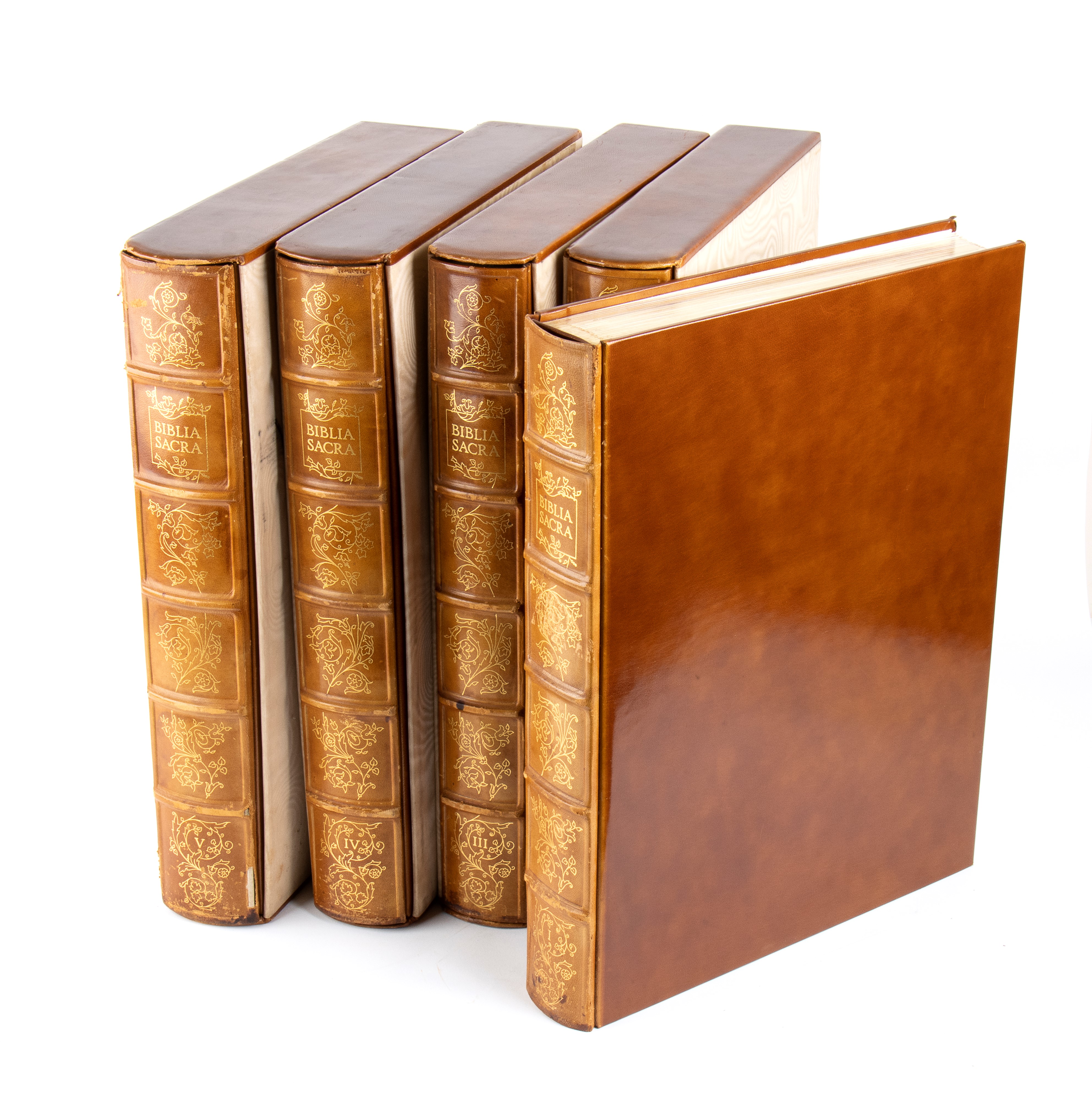 Biblia Sacra Vulgatae Editionis Imaginibus Salvatoris Dalì.z Sumptibus Ex Typis Rizzoli Editoris ...