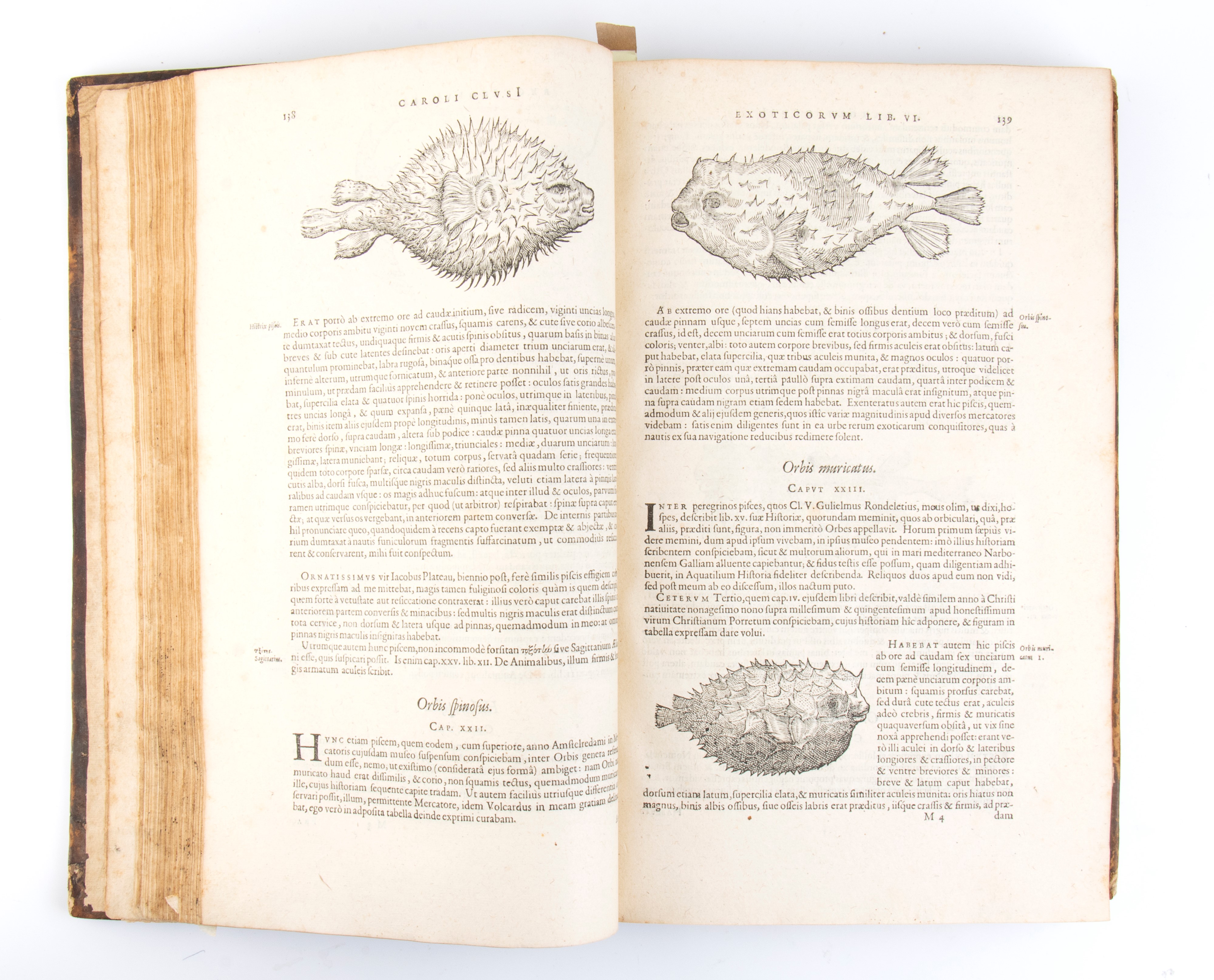 Clusius Carolus. Exoticorum Libri Decem, Quibus Animalium, Plantarum, Aromatum, Aliorumque Peregr...