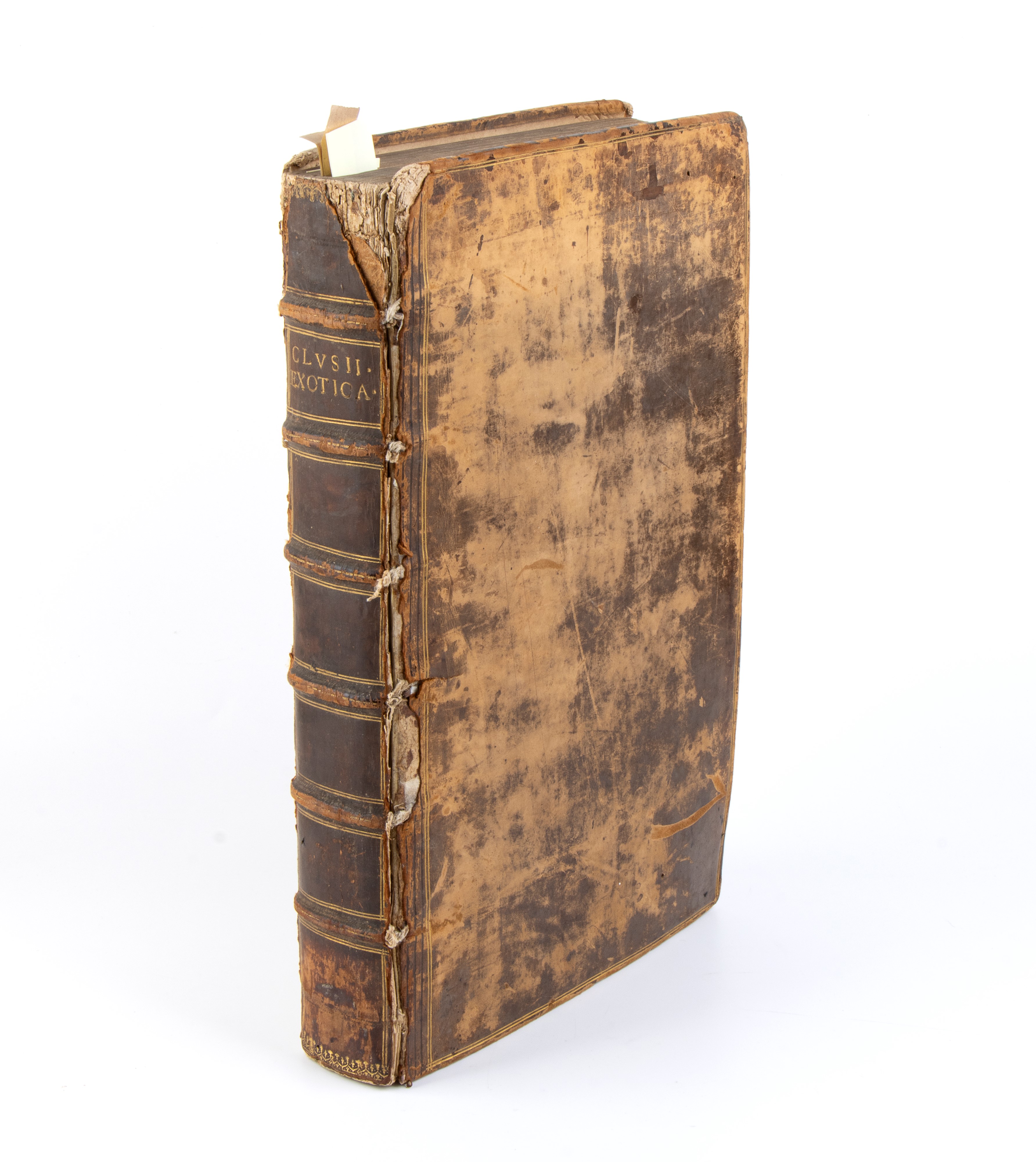 Clusius Carolus. Exoticorum Libri Decem, Quibus Animalium, Plantarum, Aromatum, Aliorumque Peregr...