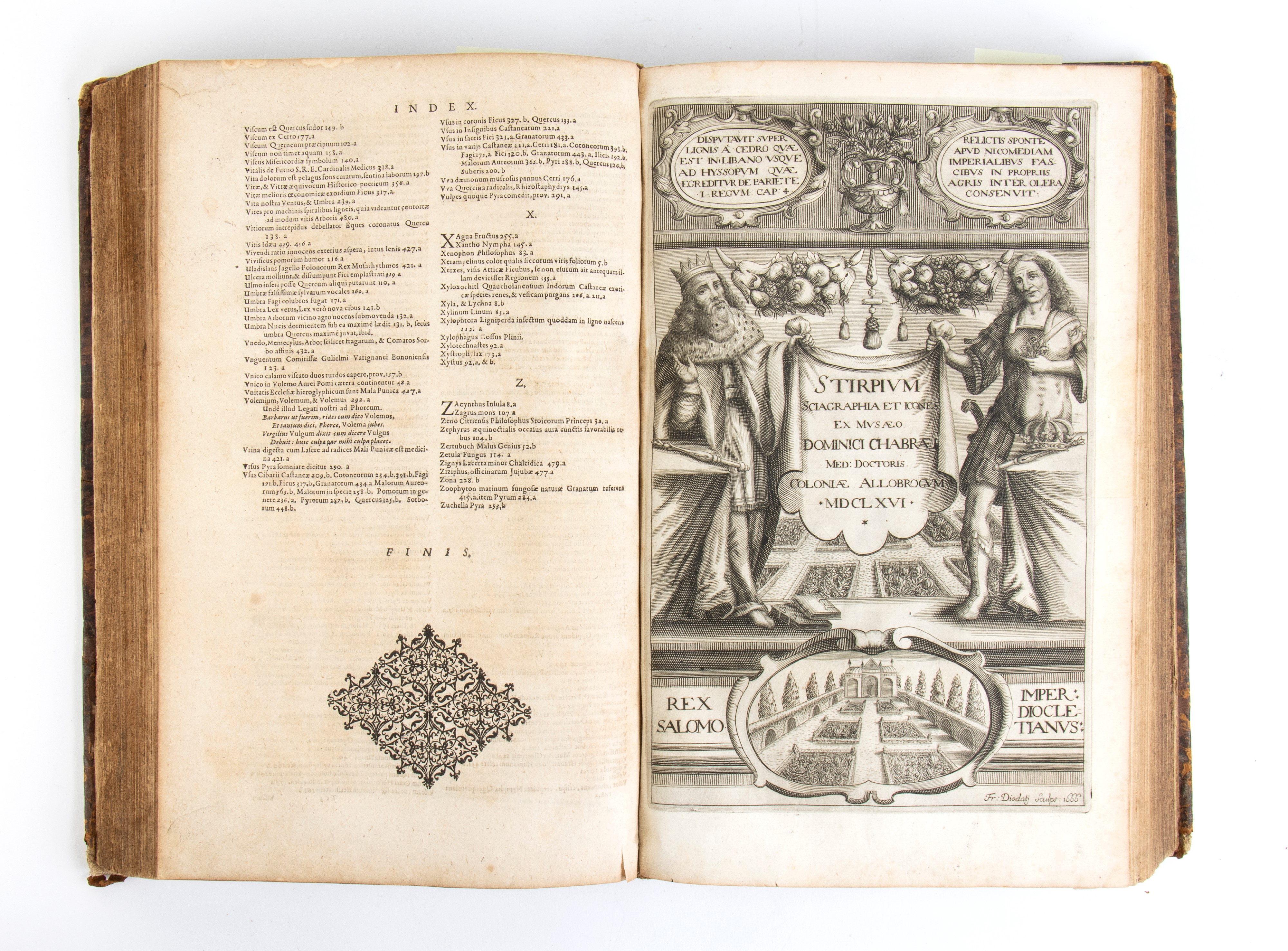 Ovidio Montalbano. Dendrologia Sive De Arboretum Libri II. Francoforte 1690