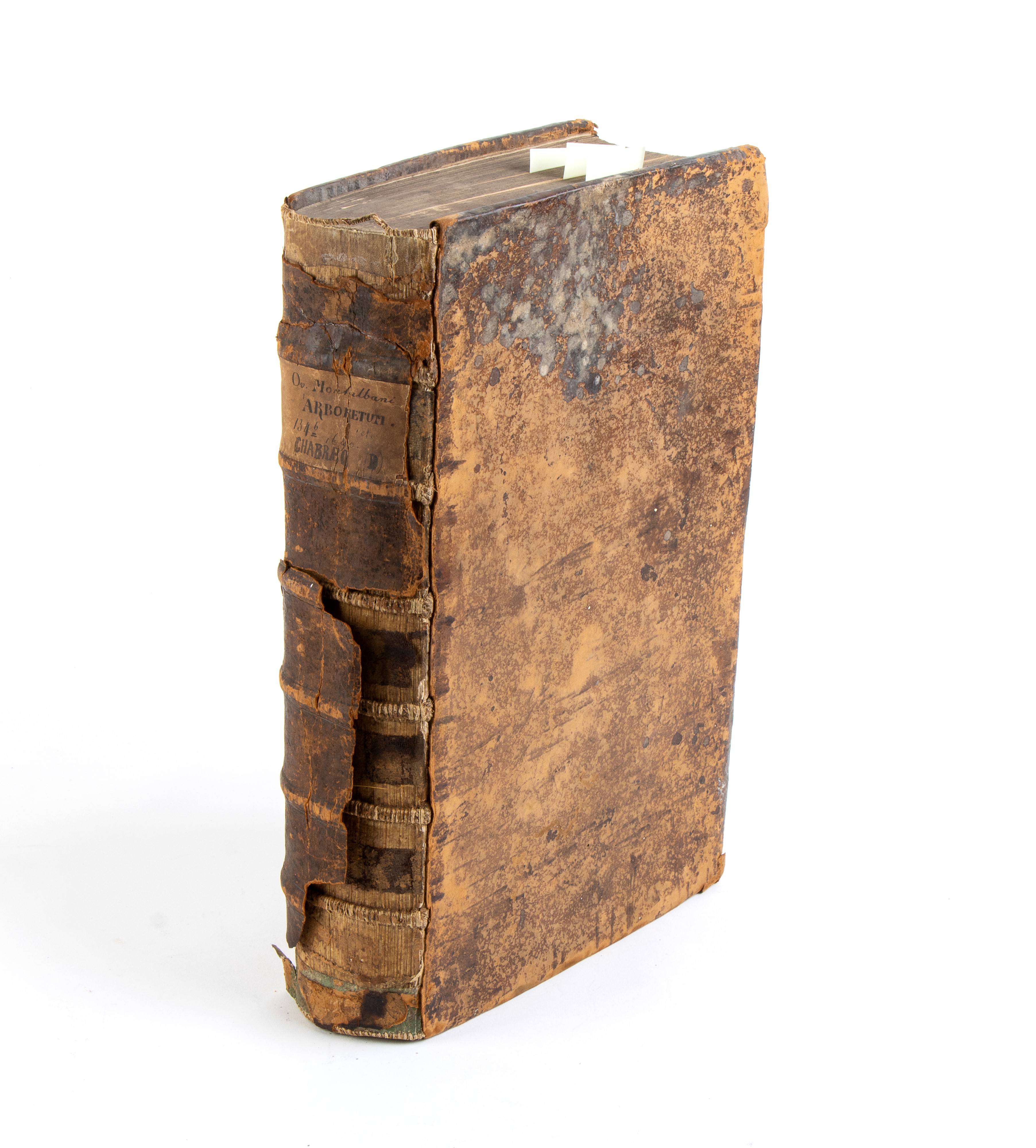 Ovidio Montalbano. Dendrologia Sive De Arboretum Libri II. Francoforte 1690