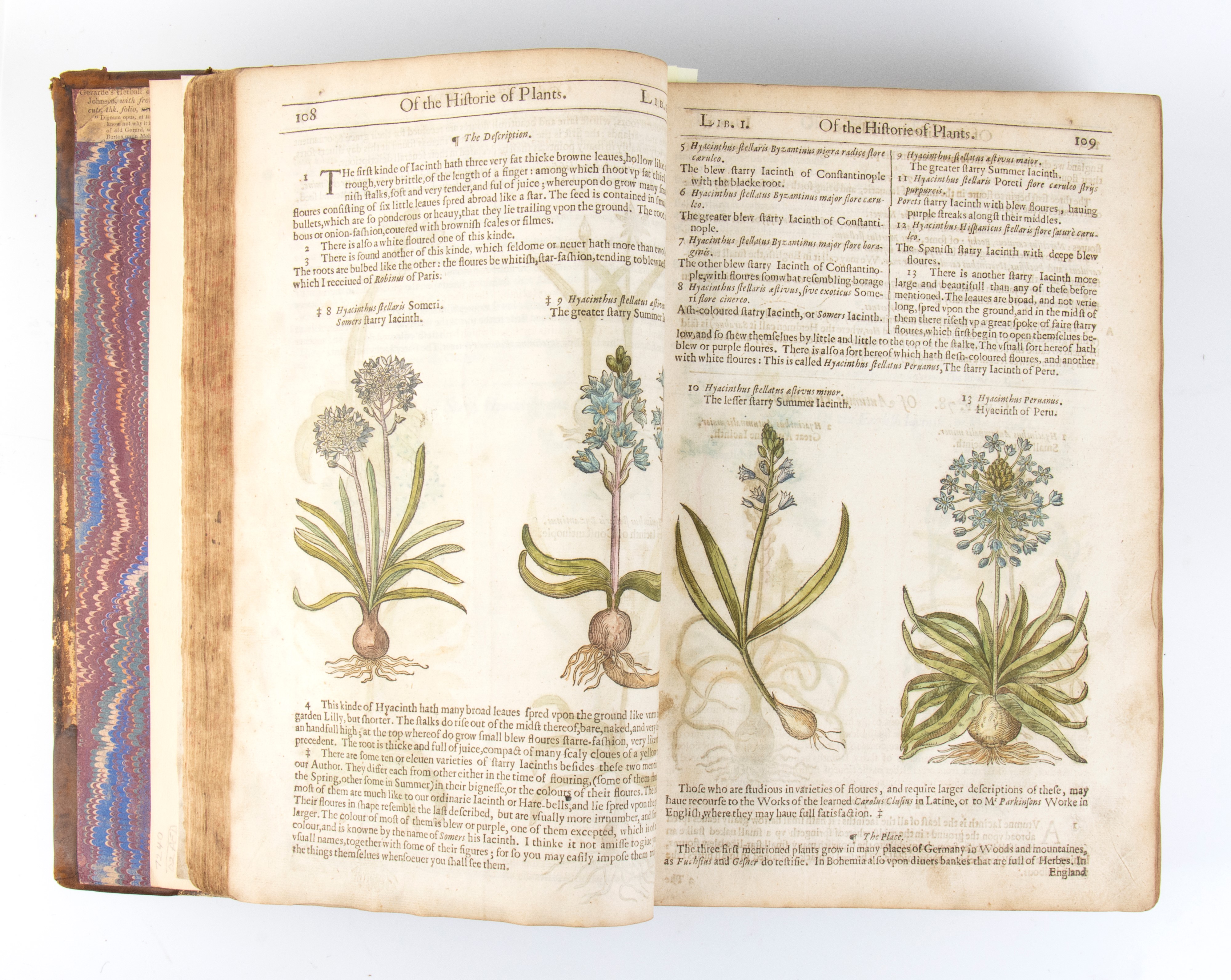 Gerard John. The Herball Or General Historie Of Plantes. London 1633