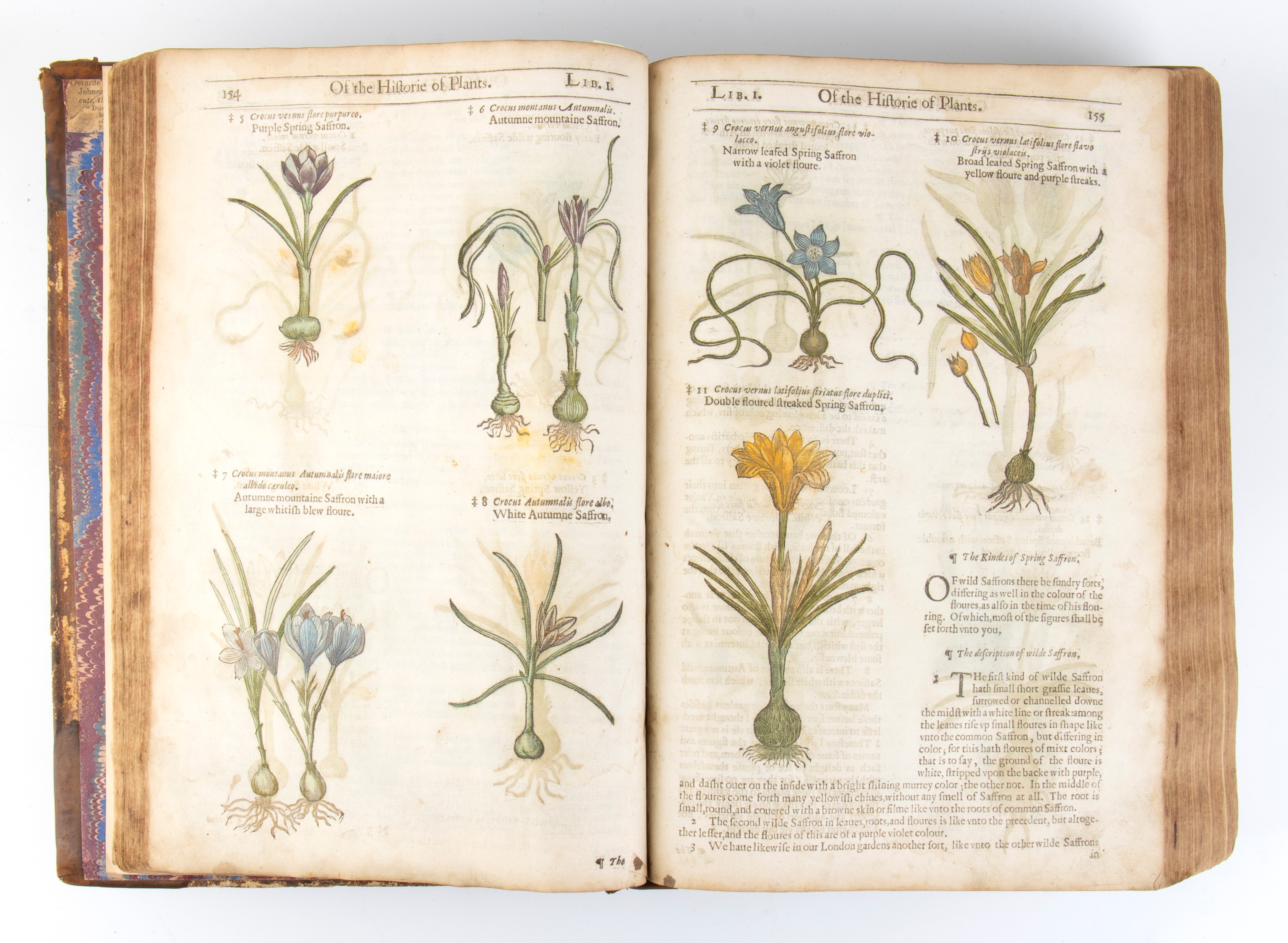 Gerard John. The Herball Or General Historie Of Plantes. London 1633