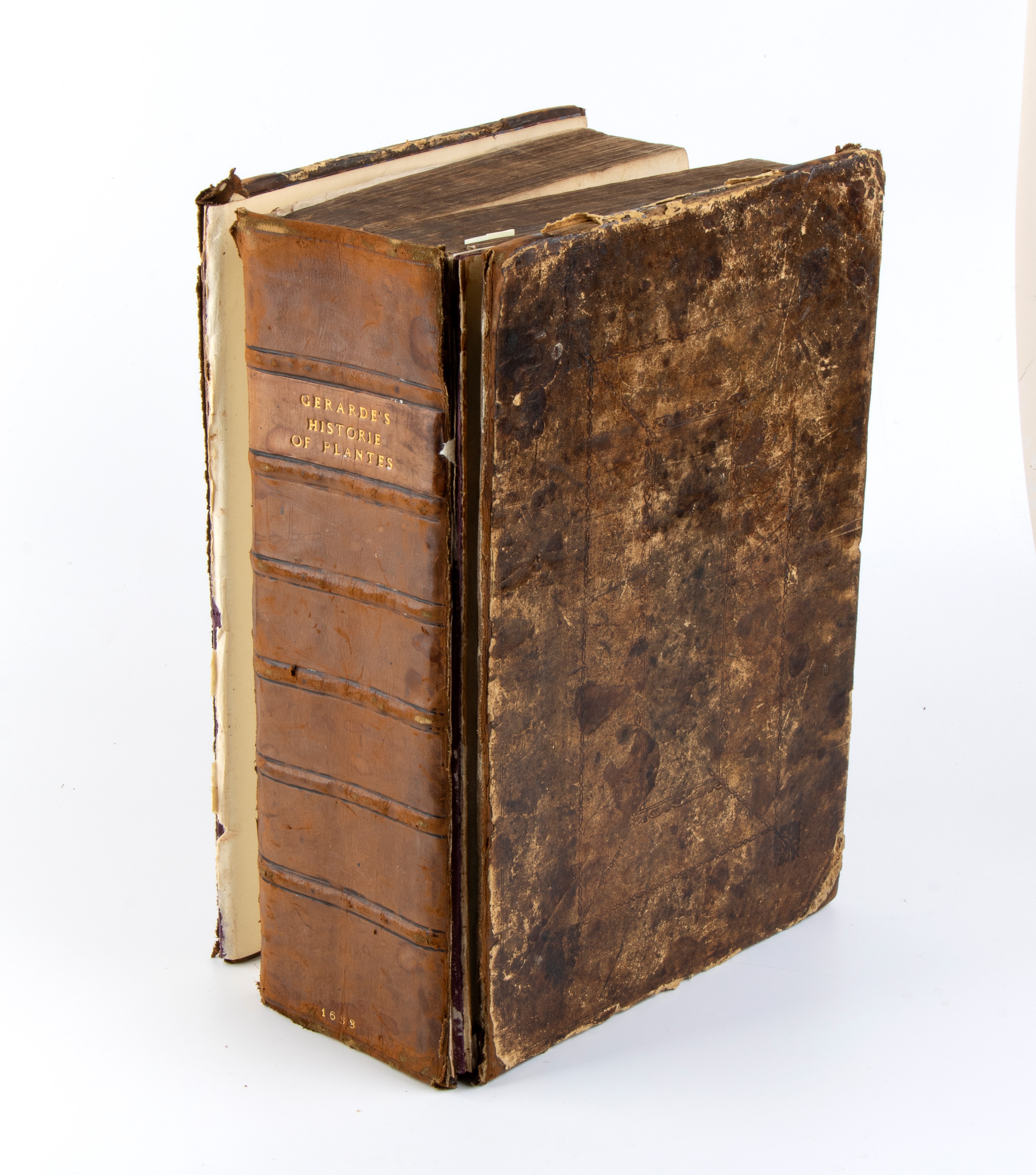 Gerard John. The Herball Or General Historie Of Plantes. London 1633