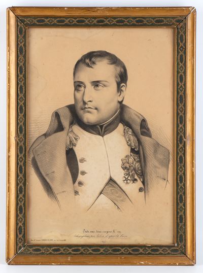 Ritratto di Napoleone