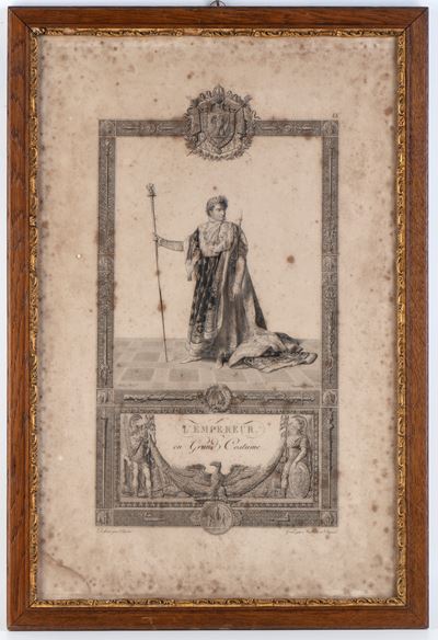 Napoleone in Abito Dell'incoronazione