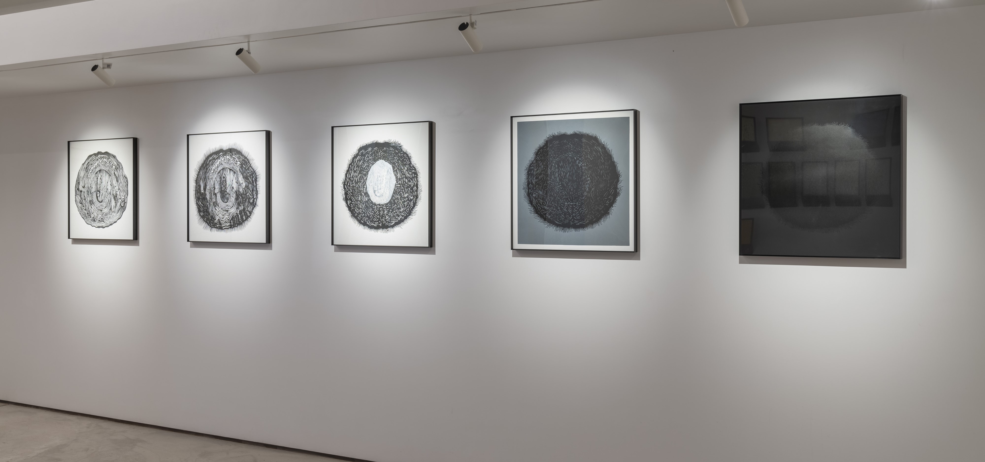 Amitabh Kumar - Five Flags Of The Black Sun - I, II, III, IV, V. Set Of 5, Ed. 1/5