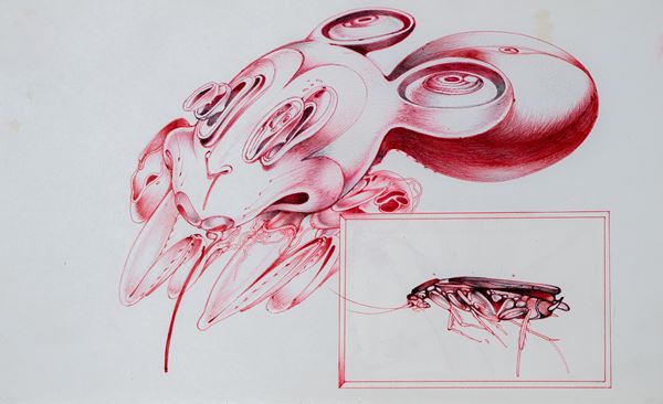 Sajid  Wajid Shaikh - Pests