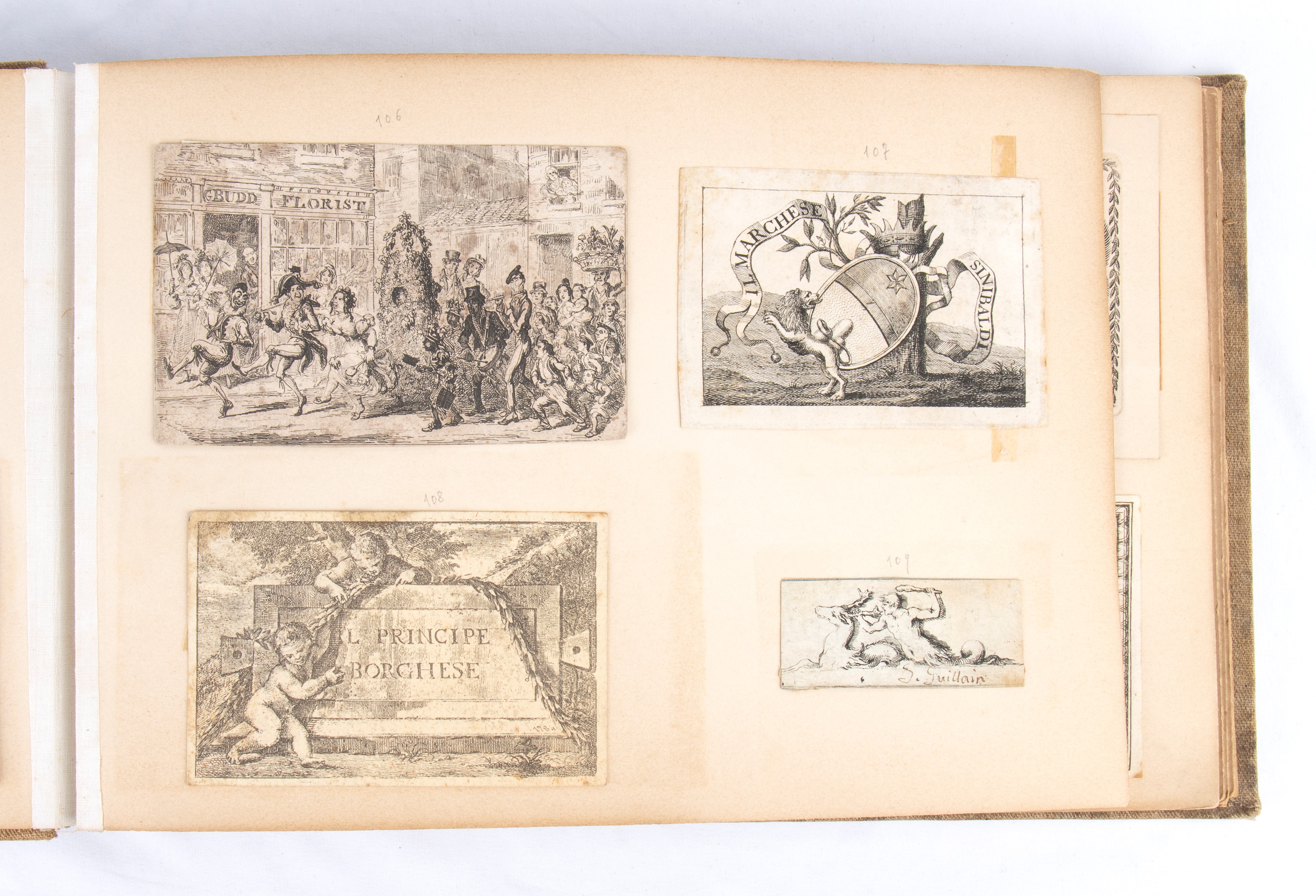 Album Contenitore Collezione di Biglietti da Visita