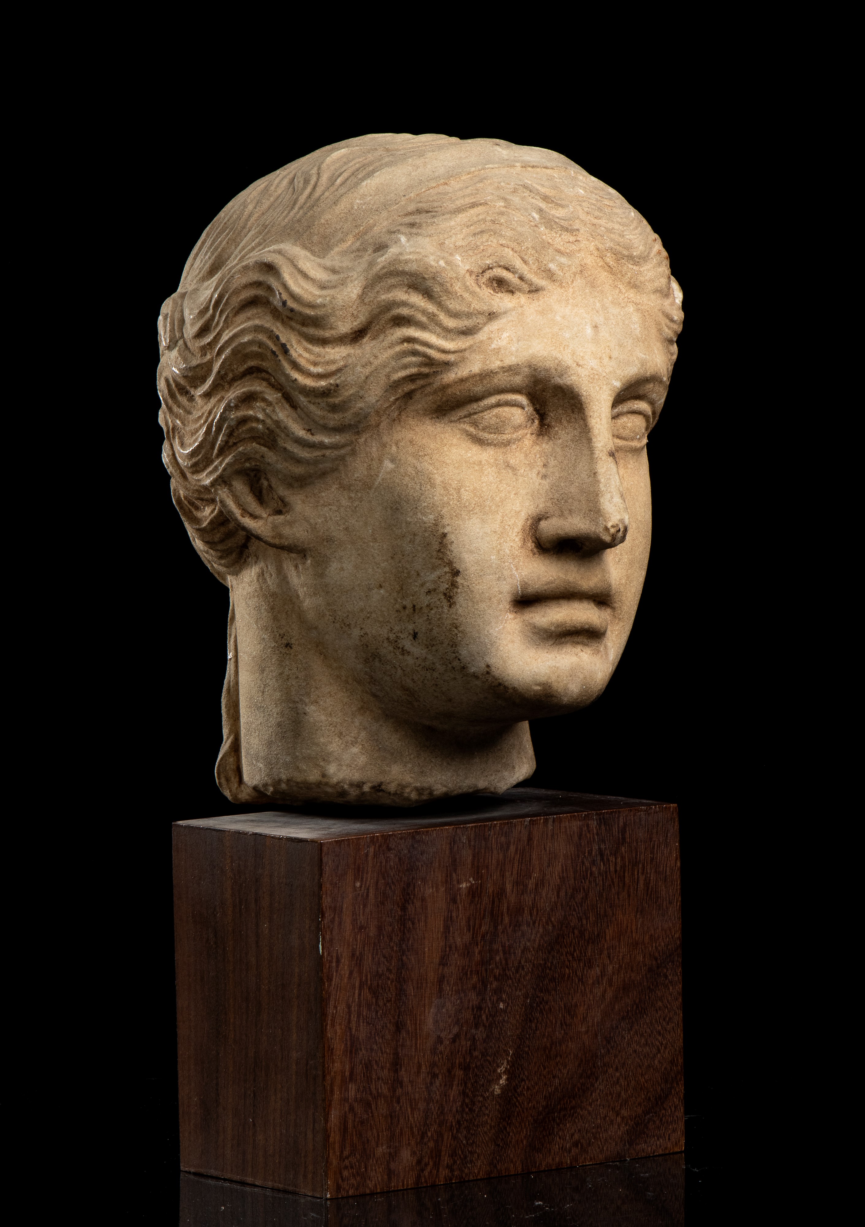 Testa in Pietra in Stile Romano