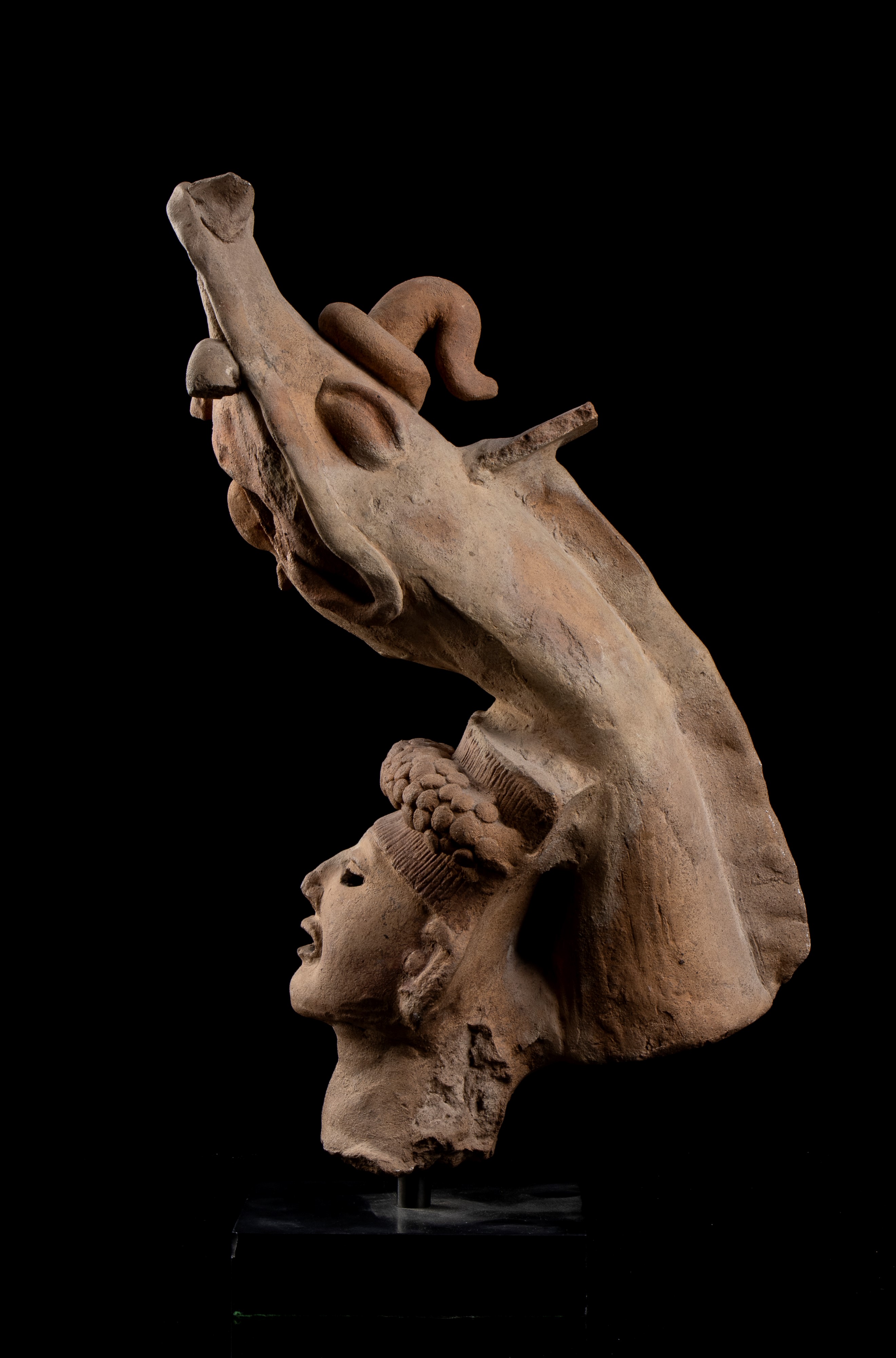 Testa di Guerriero con Copricapo a Serpente in Terracotta