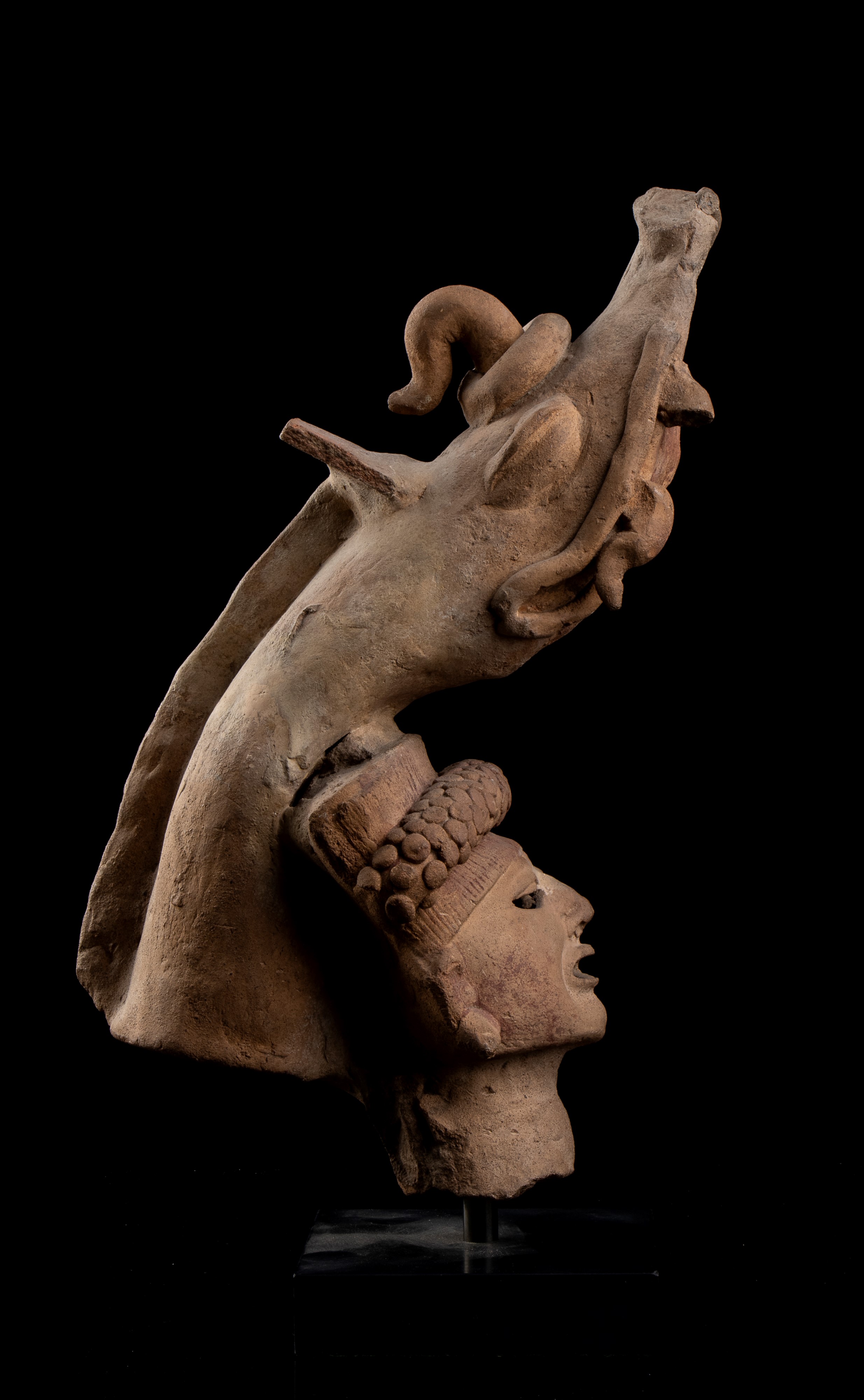 Testa di Guerriero con Copricapo a Serpente in Terracotta