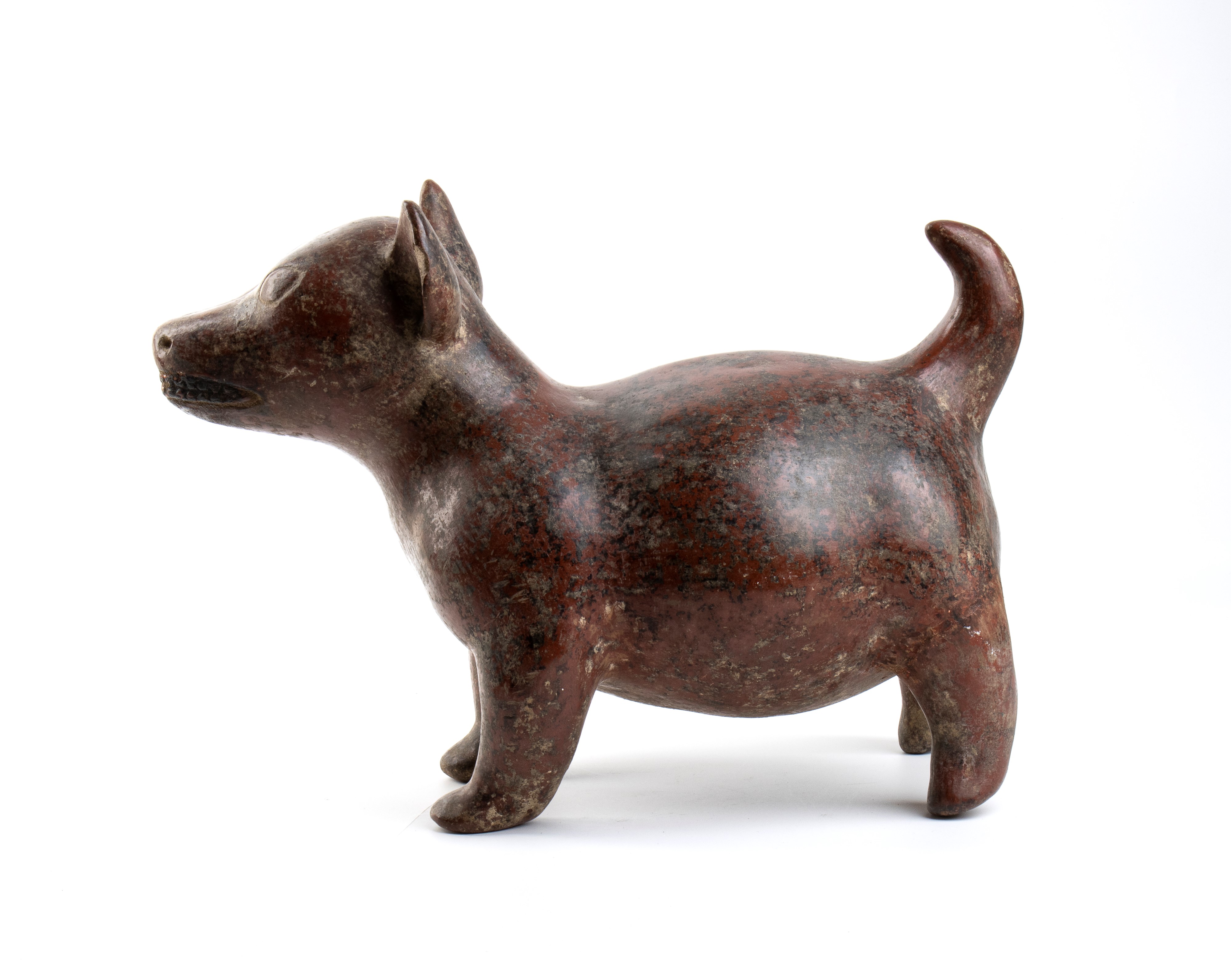 Cane in Terracotta