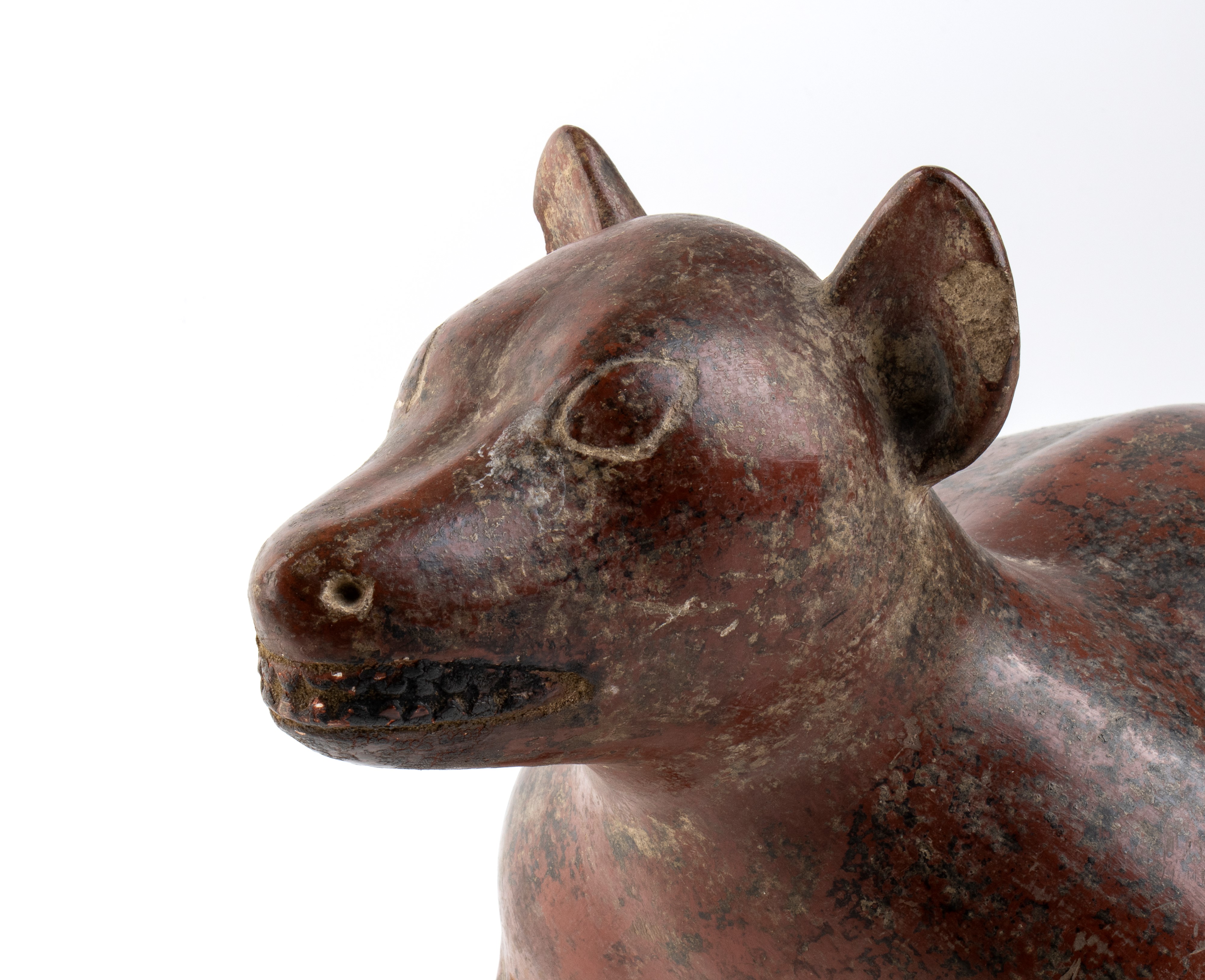 Cane in Terracotta