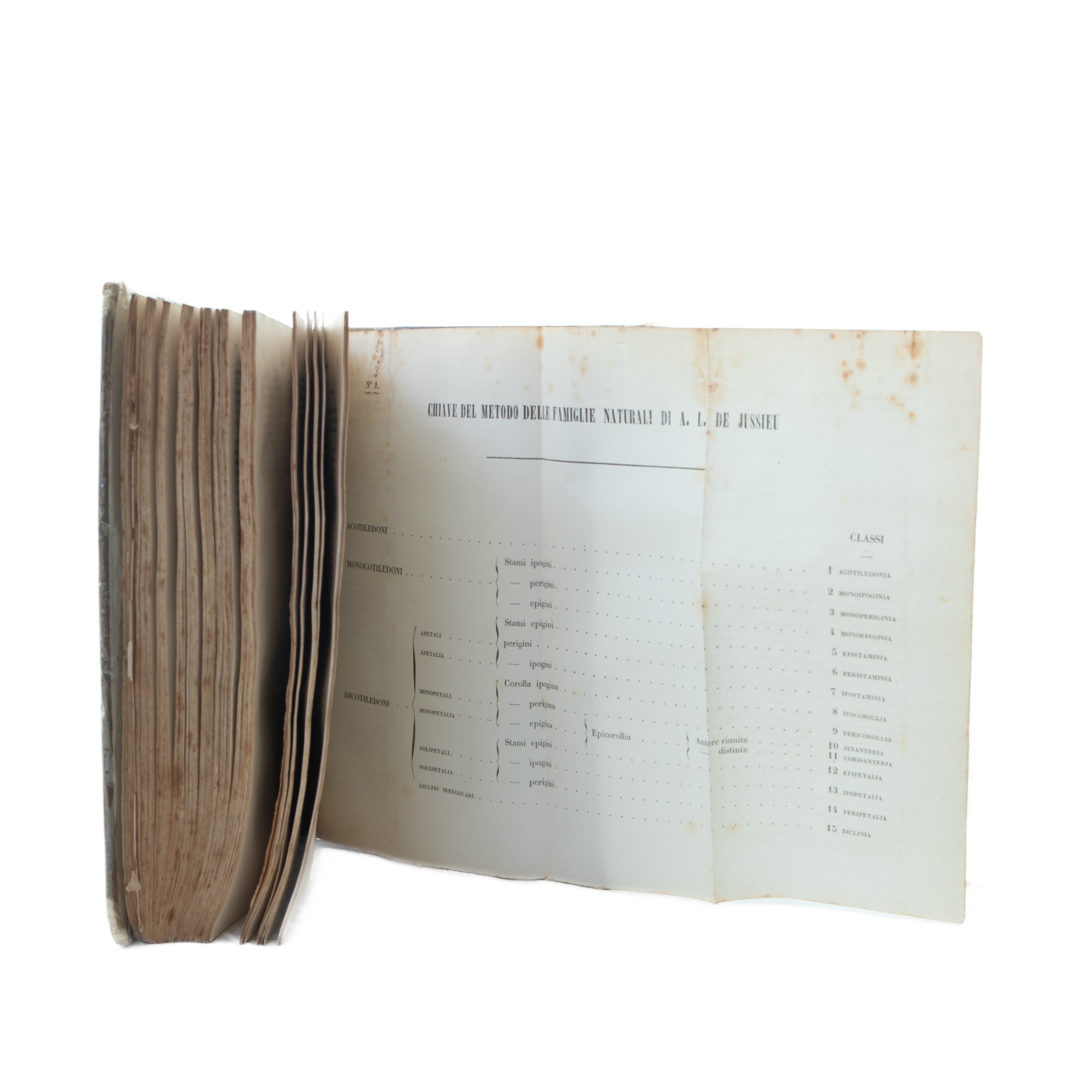 Manuale di Scienze ed Arti