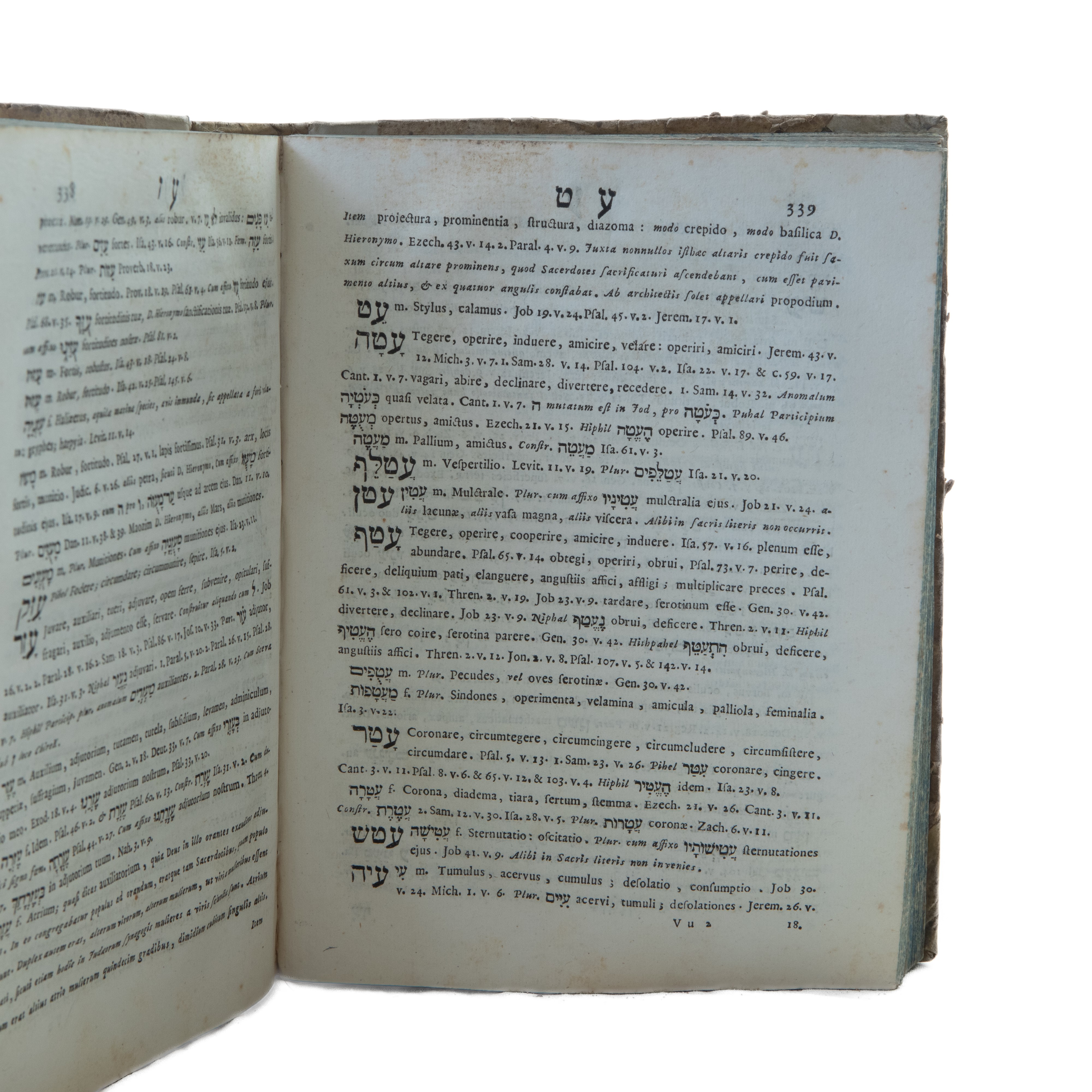"lexicon Hebraicum"