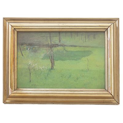 Alberi nel Verde