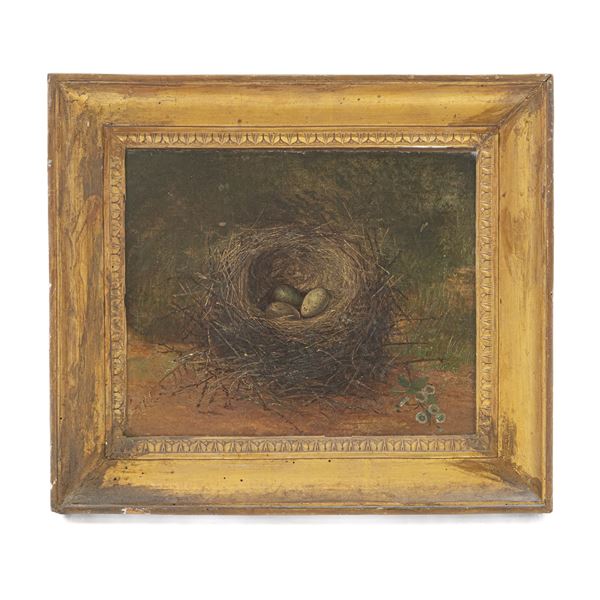 Nest with eggs  (late 19th early 20th century)  - oil painting on canvas - Auction Smart Auction: furniture, paintings, sculptures, silver and more at affordable prices - Bertolami Fine Art - Casa d'Aste