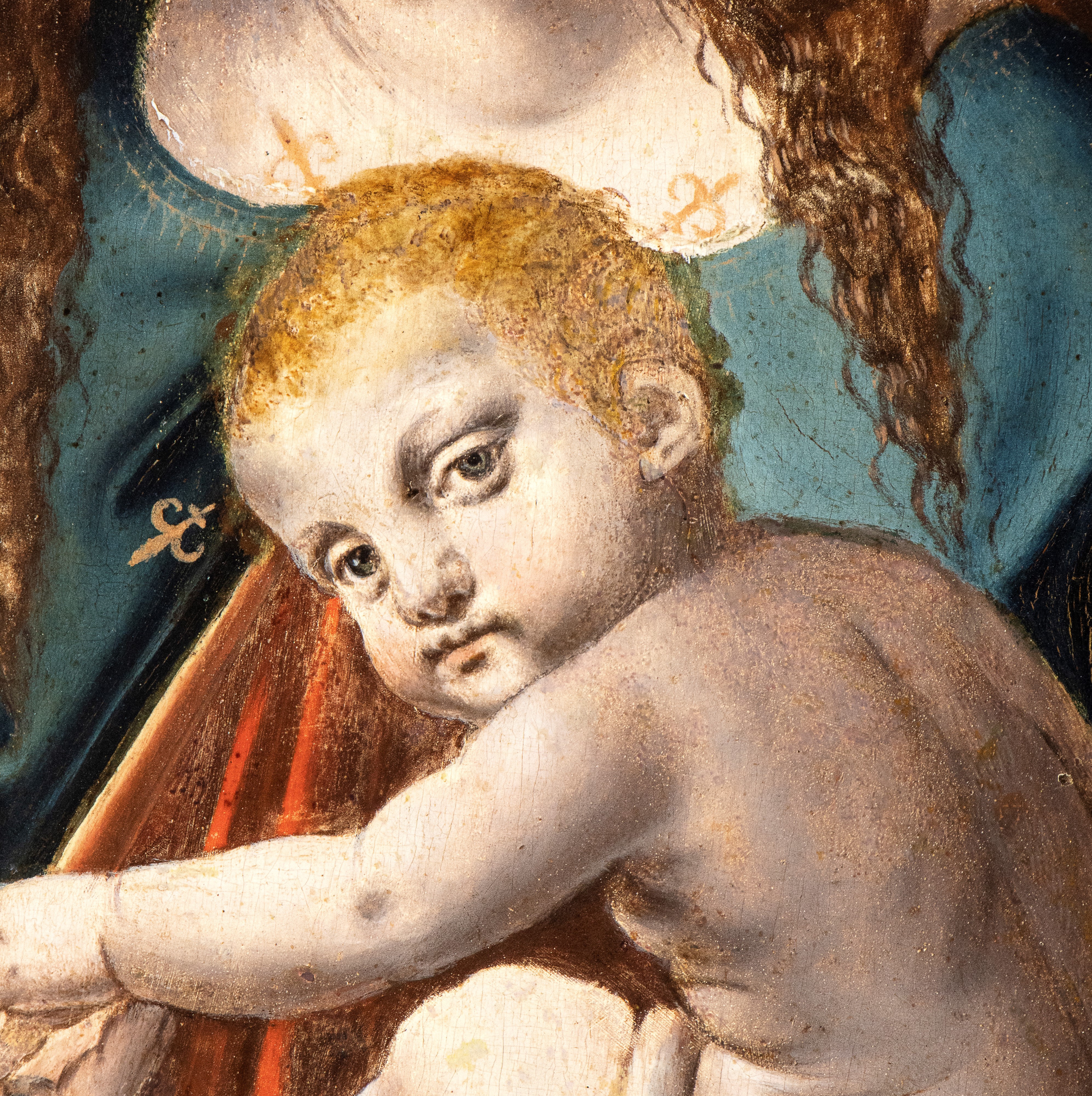 Madonna con il Bambino (Madonna dei Fiori)