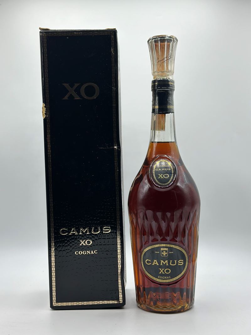 Camus,xo