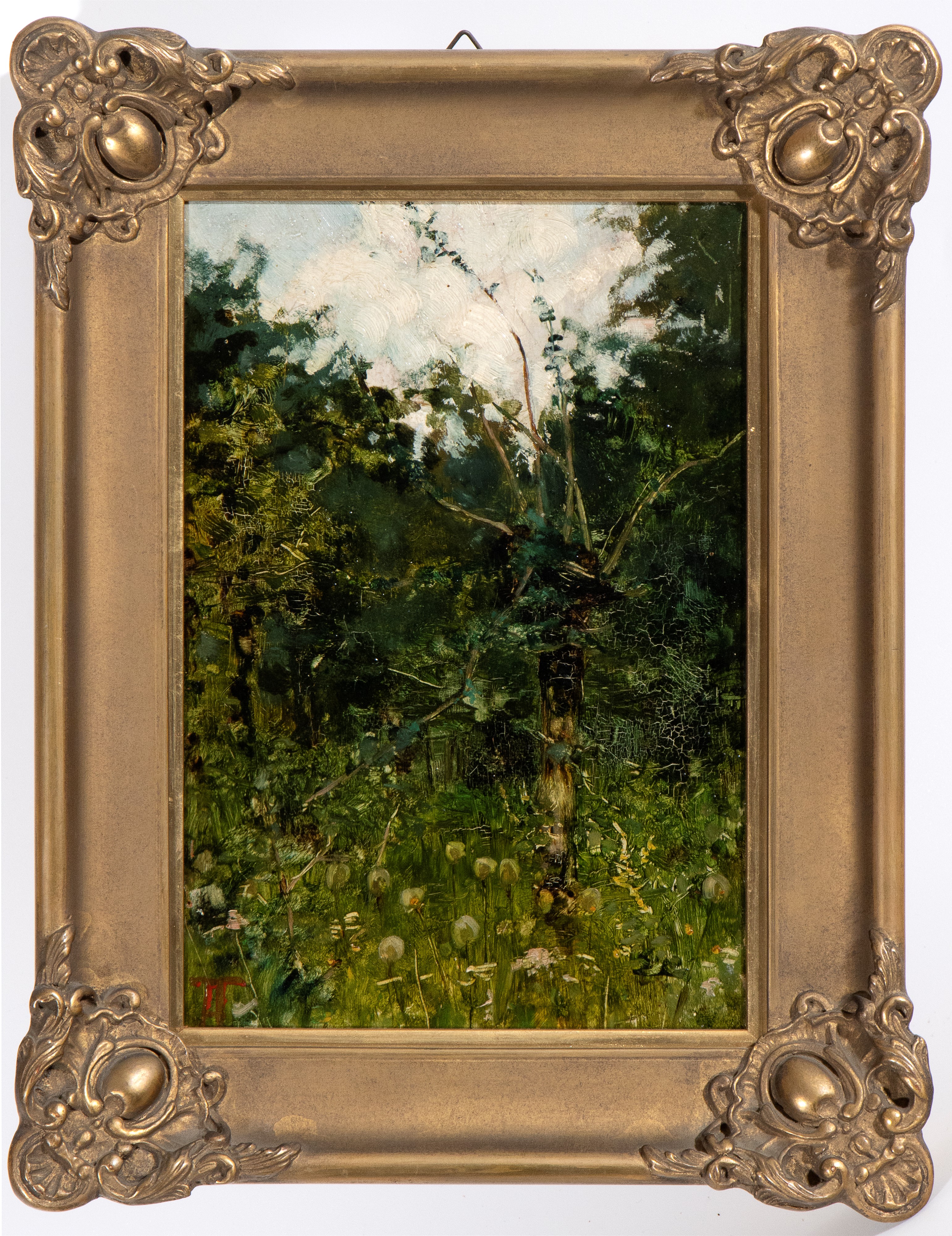 Andrea Tavernier - Bosco