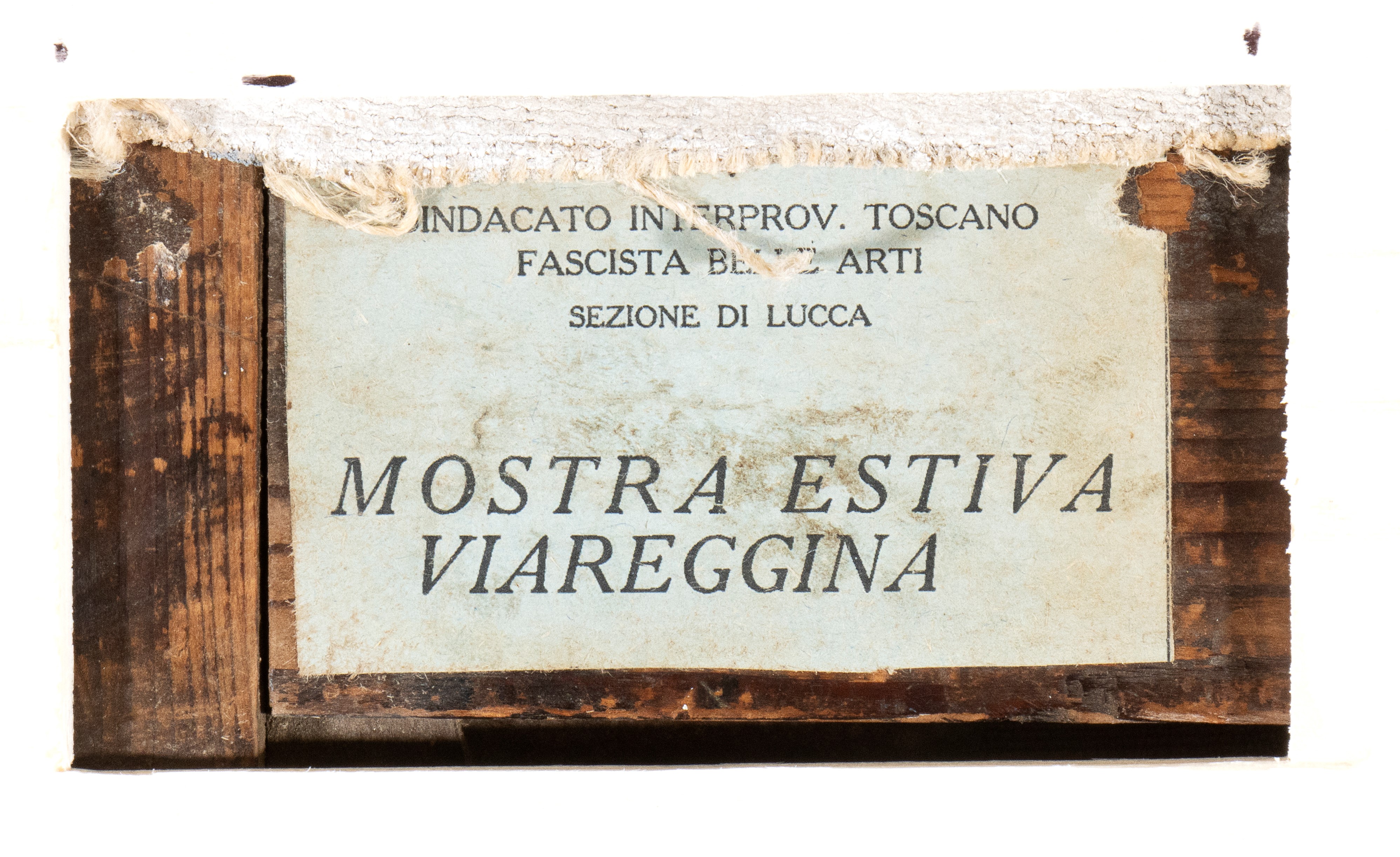 Guglielmo Sansoni Tato - In Formazione