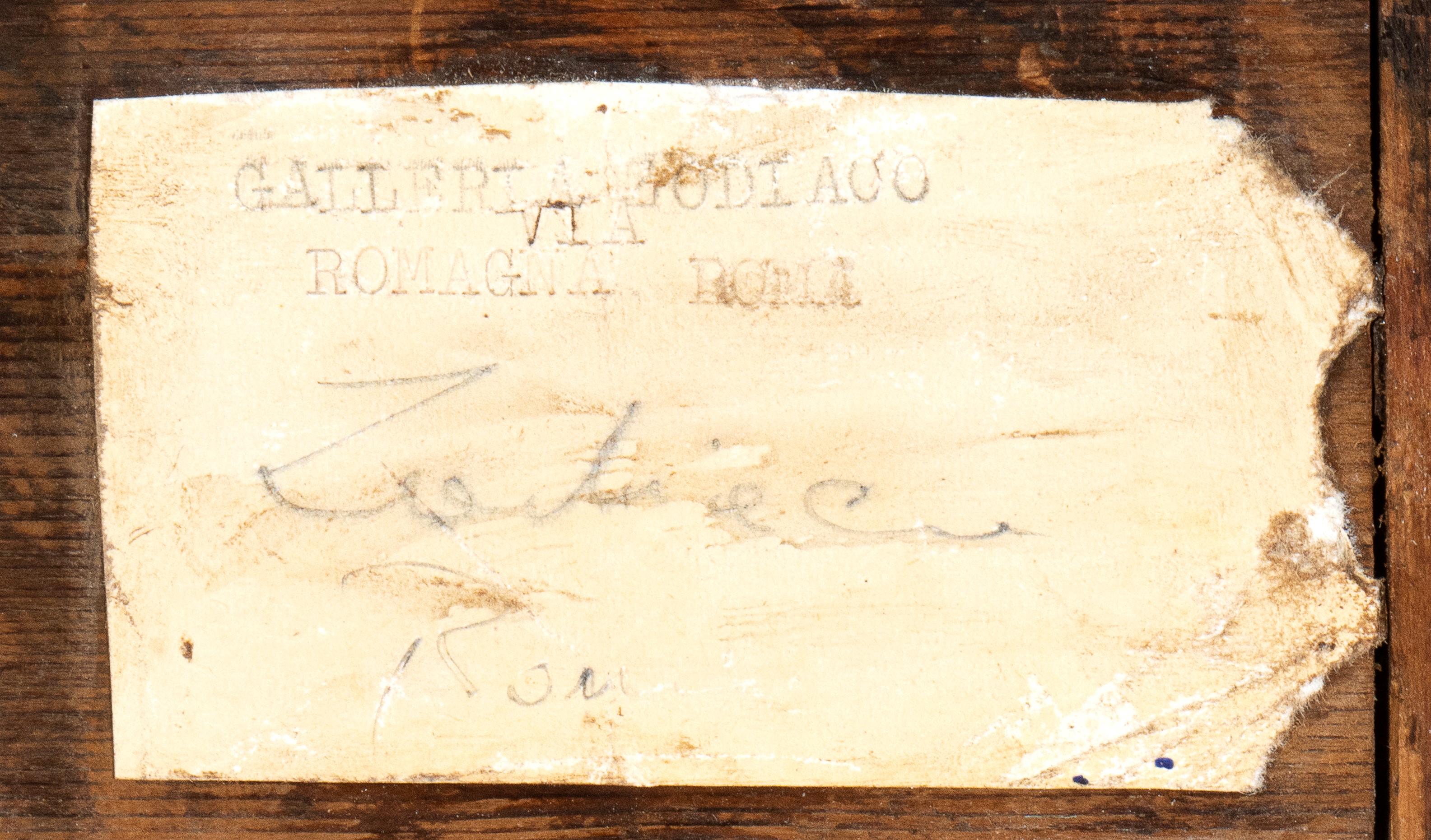 Guglielmo Sansoni Tato - In Formazione