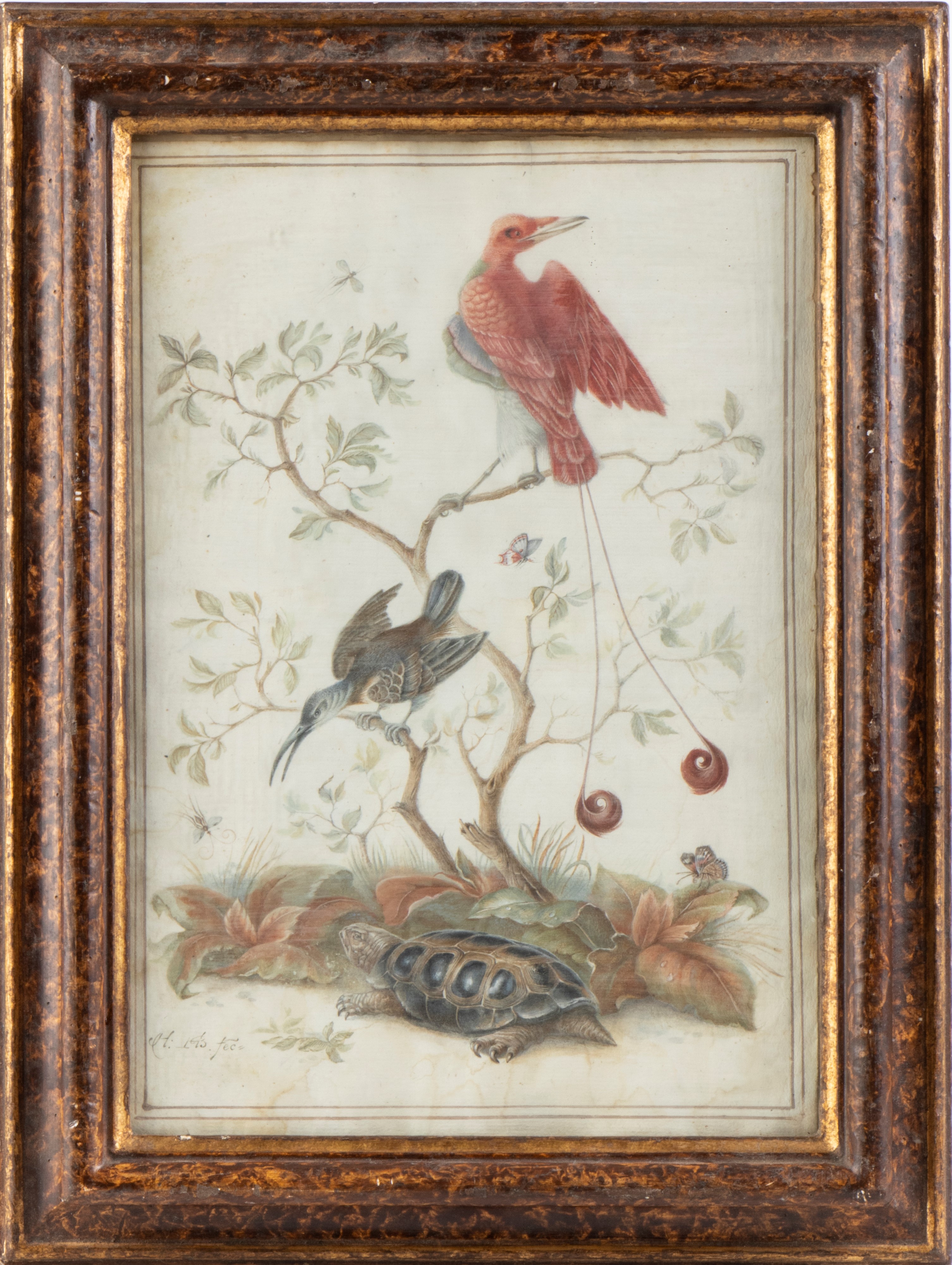 Herman Henstenburgh - Natura Viva con Uccelli e Tartaruga
