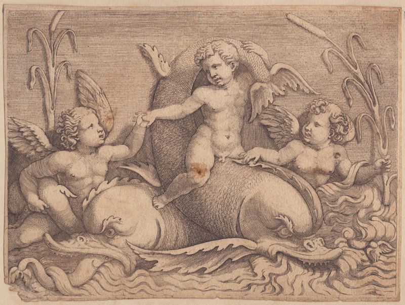 Adamo Scultori - Tre Putti con Mostri Marini