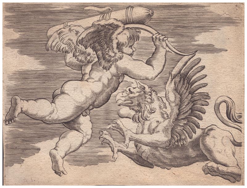 Agostino Veneziano (agostino dei Musi) - Cupido ed un Grifo