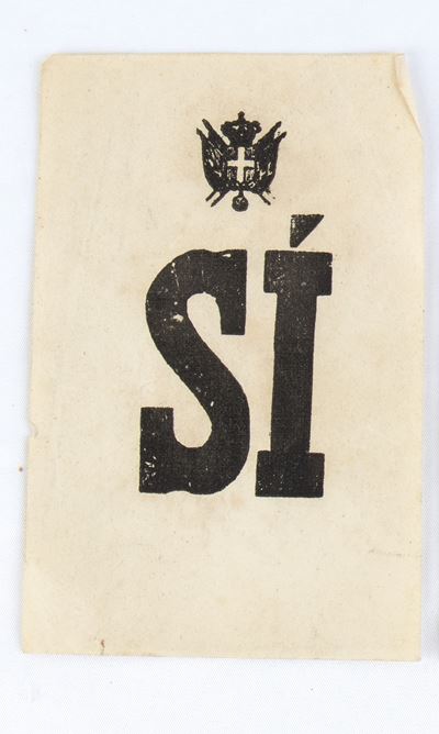 Risorgimento / Regno D'italia - Scheda Votazione al Plebiscito