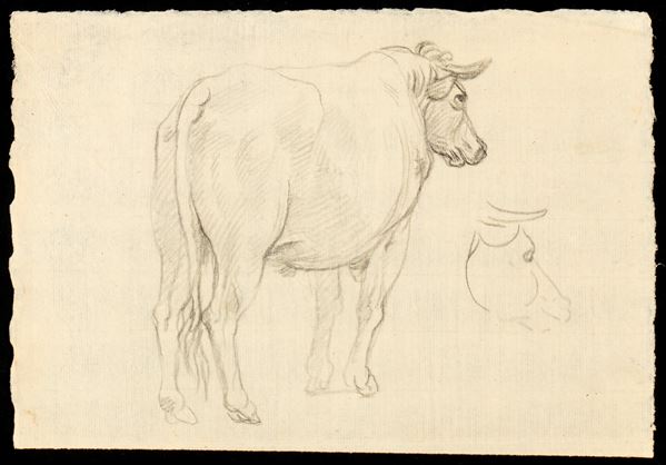 Francesco Londonio - Study for an ox