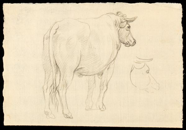 Francesco Londonio - Study for an ox
