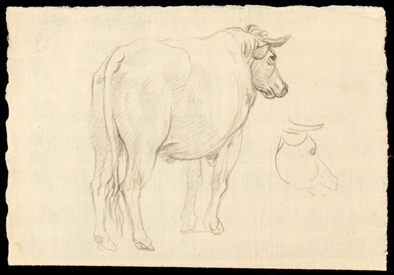 Francesco Londonio - Studio per un Bue