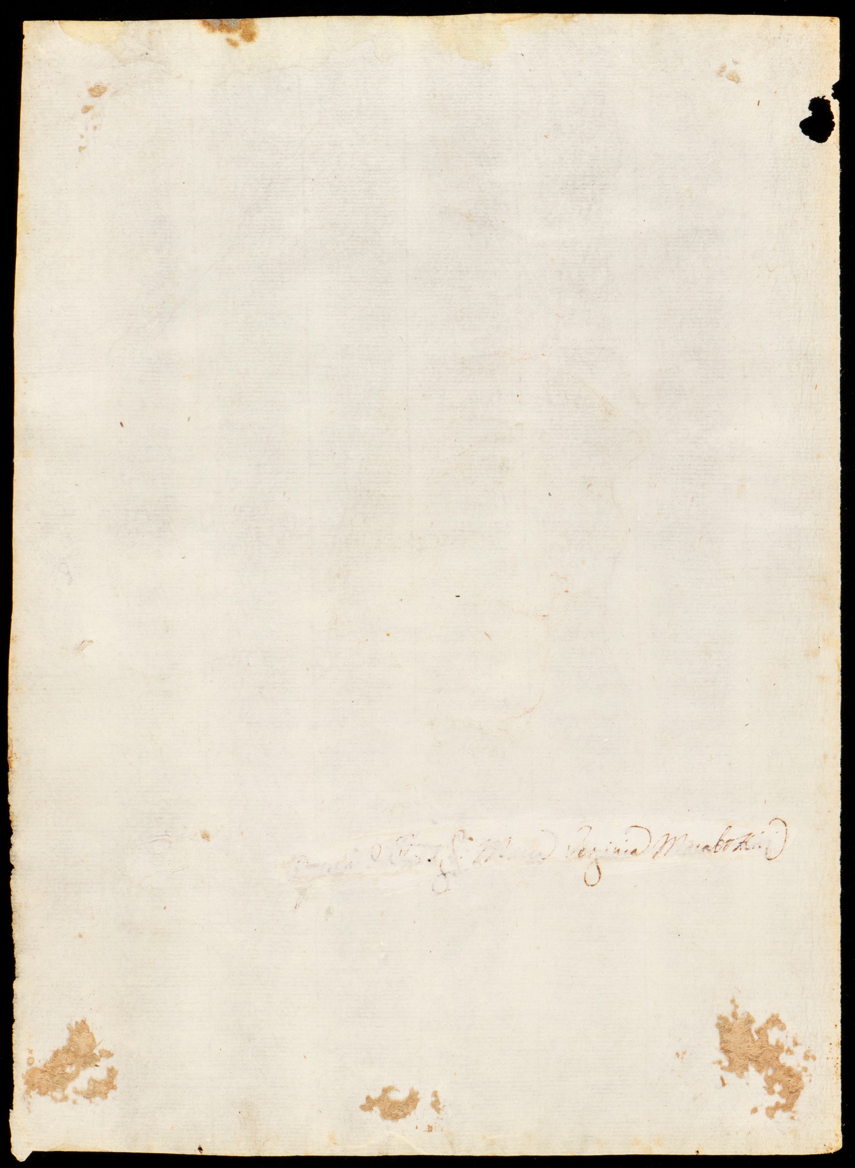 Ritratto di Donna Anziana (studio per Sant'anna?)