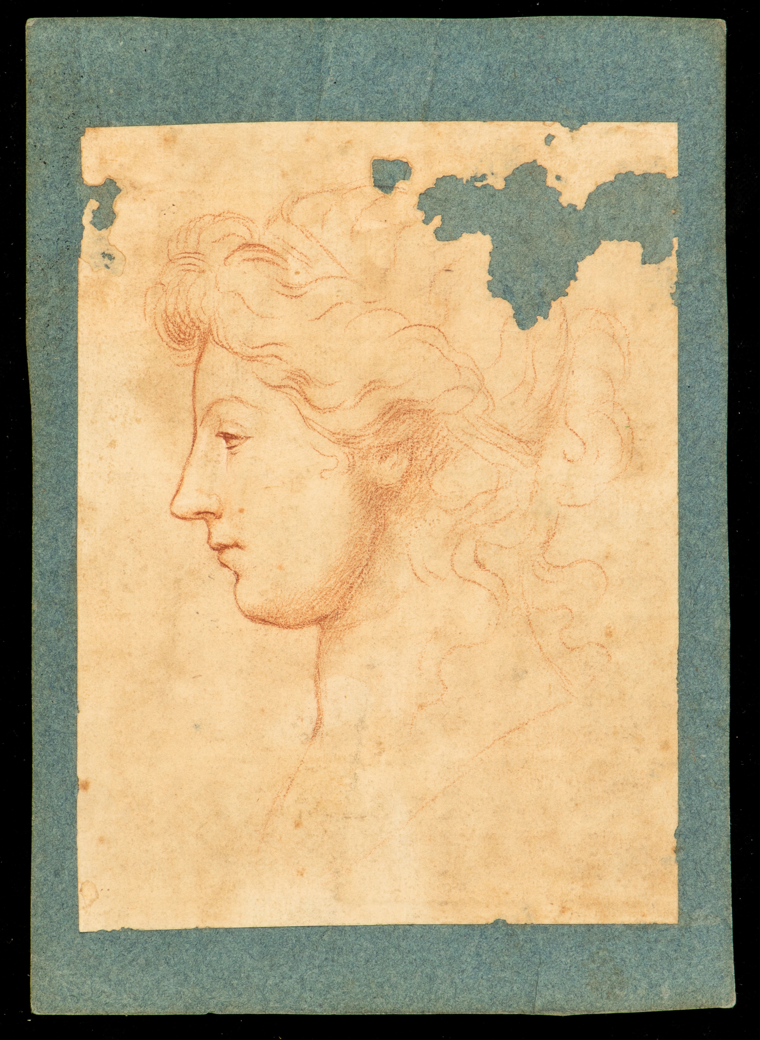 Gentiluomo di Profilo | Gentildonna di Profilo