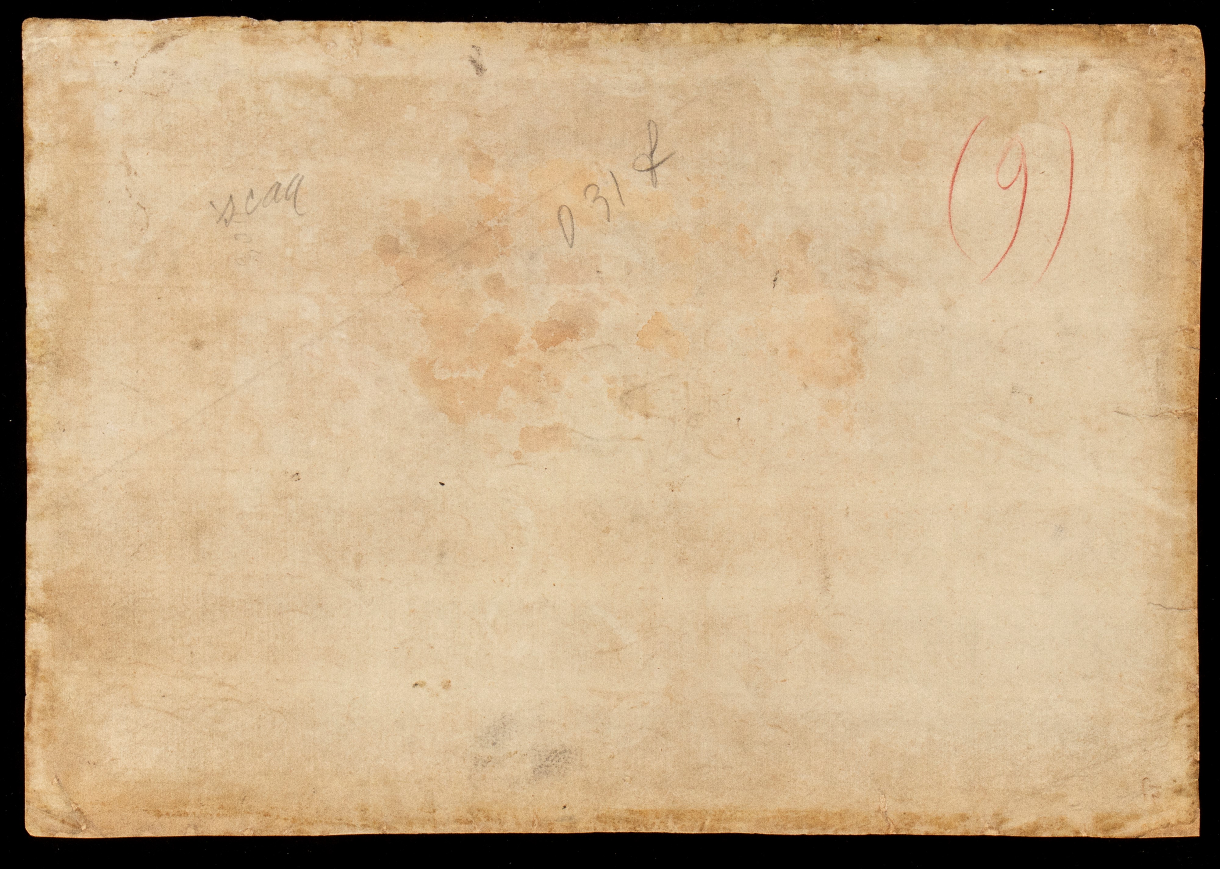 Studio per un Nudo Maschile con Mantello