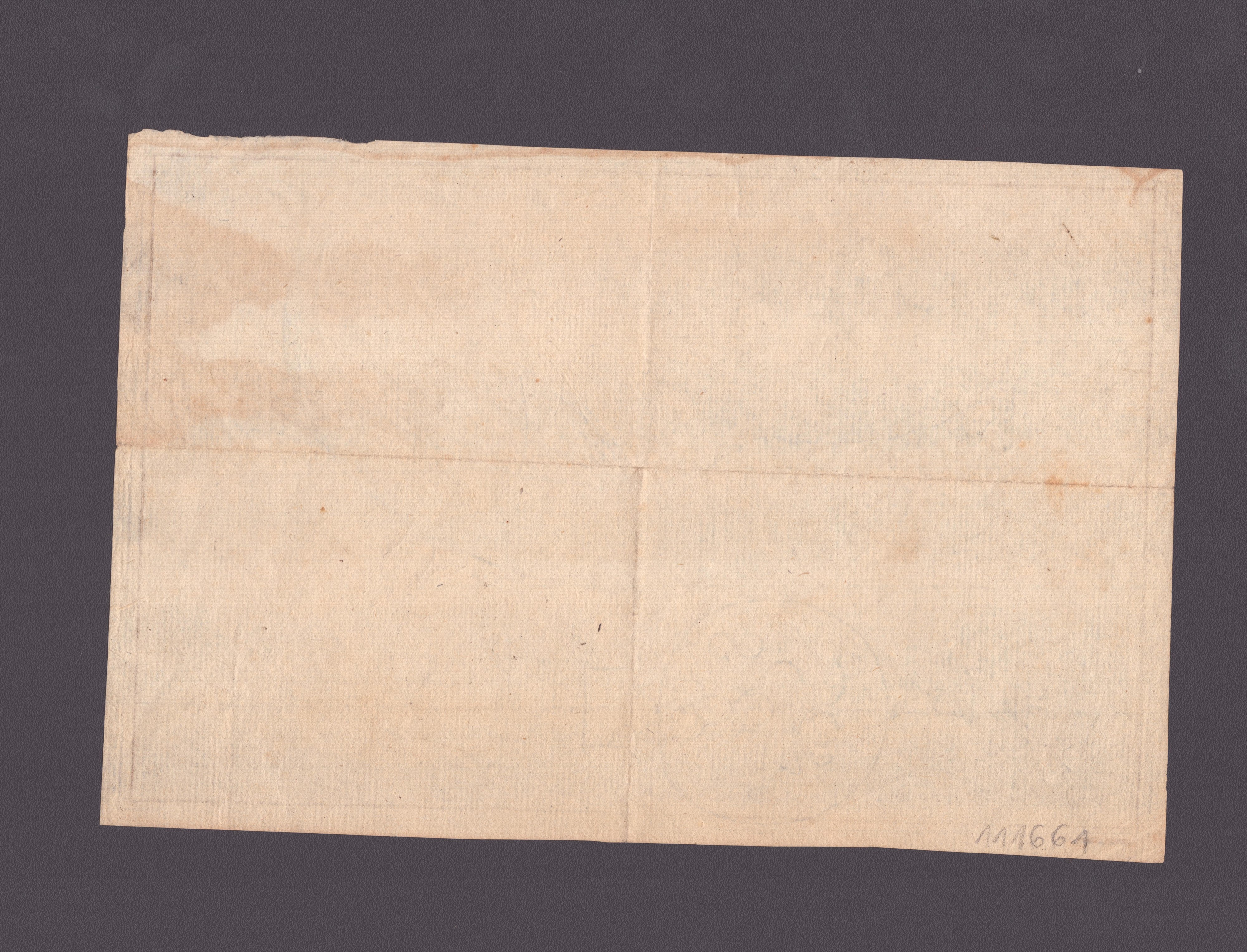 Figura di un Pesce Raro Preso Mezzo Istupidito Fralle Retti a 14 del Corr. Maggio 1795 nella Mari...