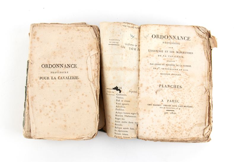 Ordonnance L'excercice Manovra De la Cavalerie - Testo e Planches 1810