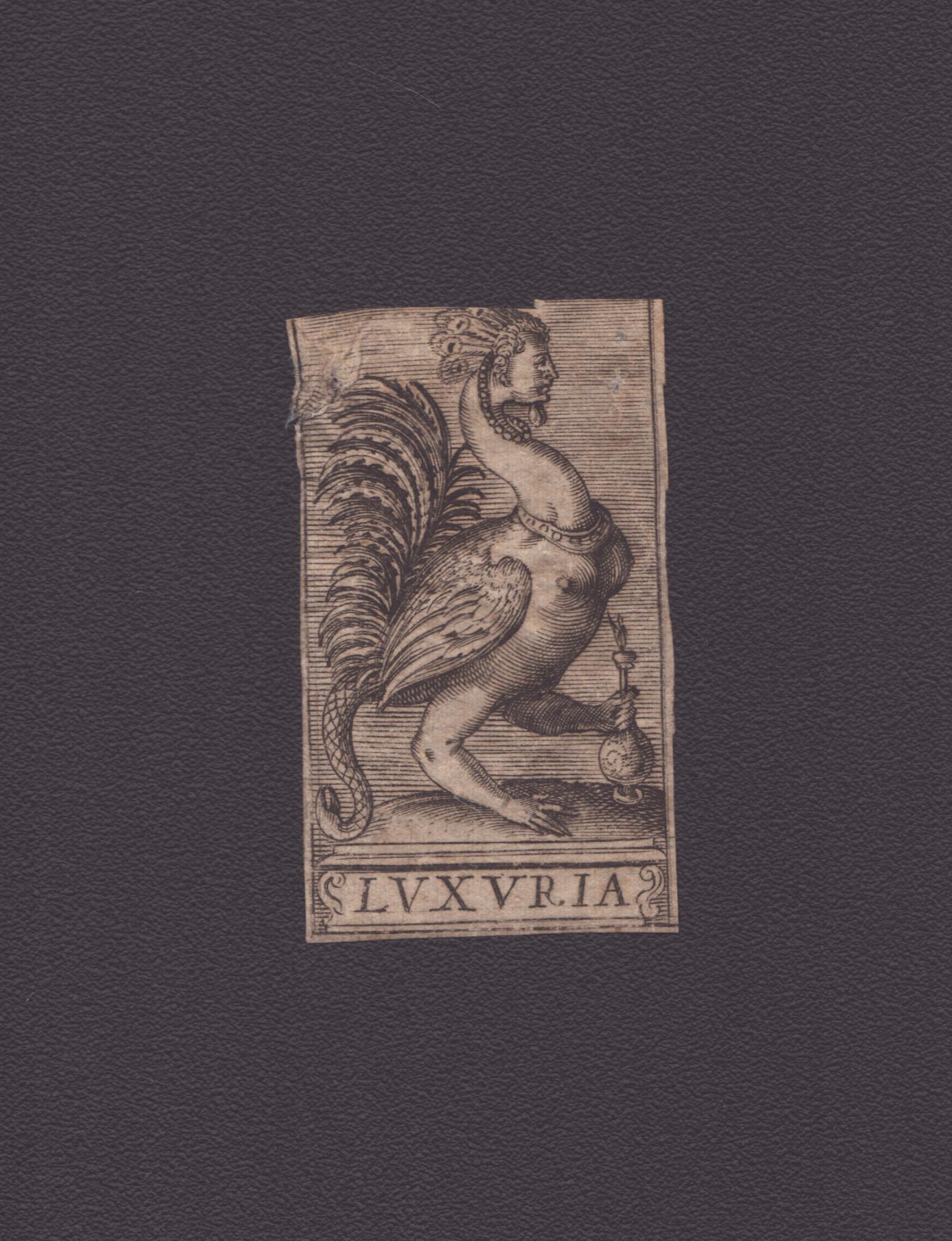 Vizi Capitali
