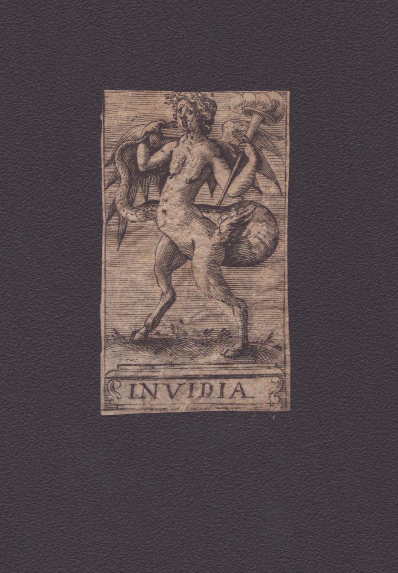 Vizi Capitali