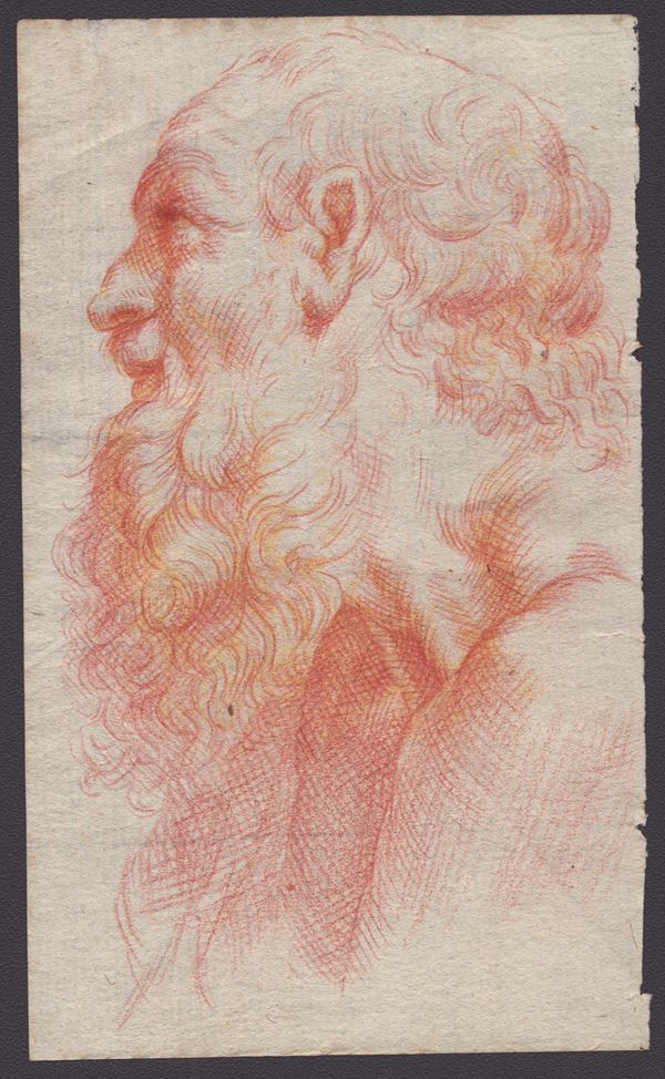 Head of a bearded elderly man